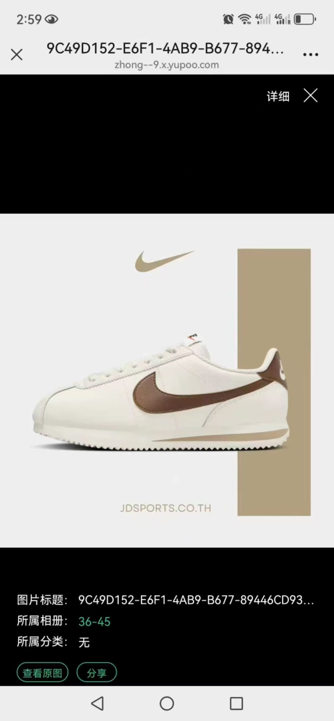 Nike Cortez （F52)