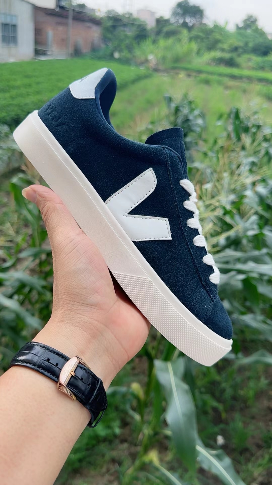 Veja Low（F41）
