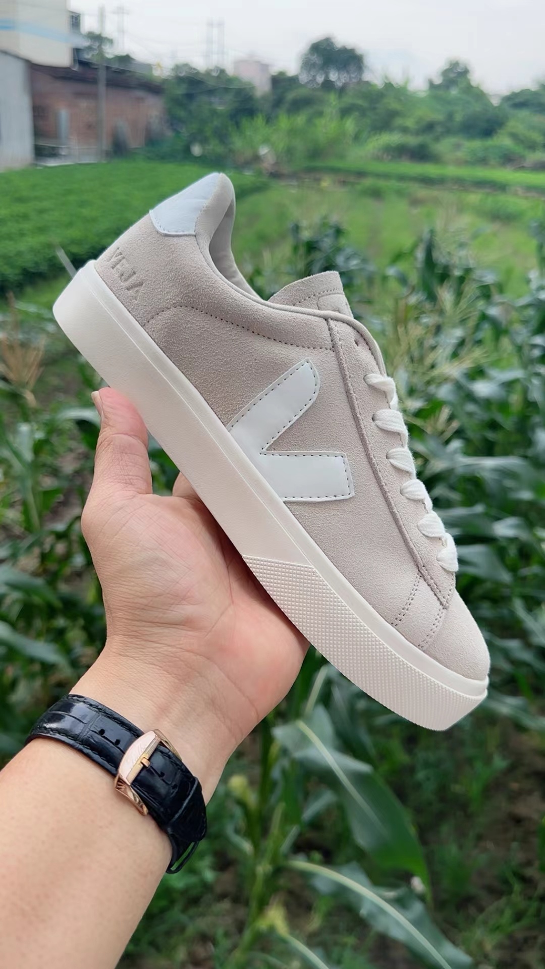 Veja Low（F41）
