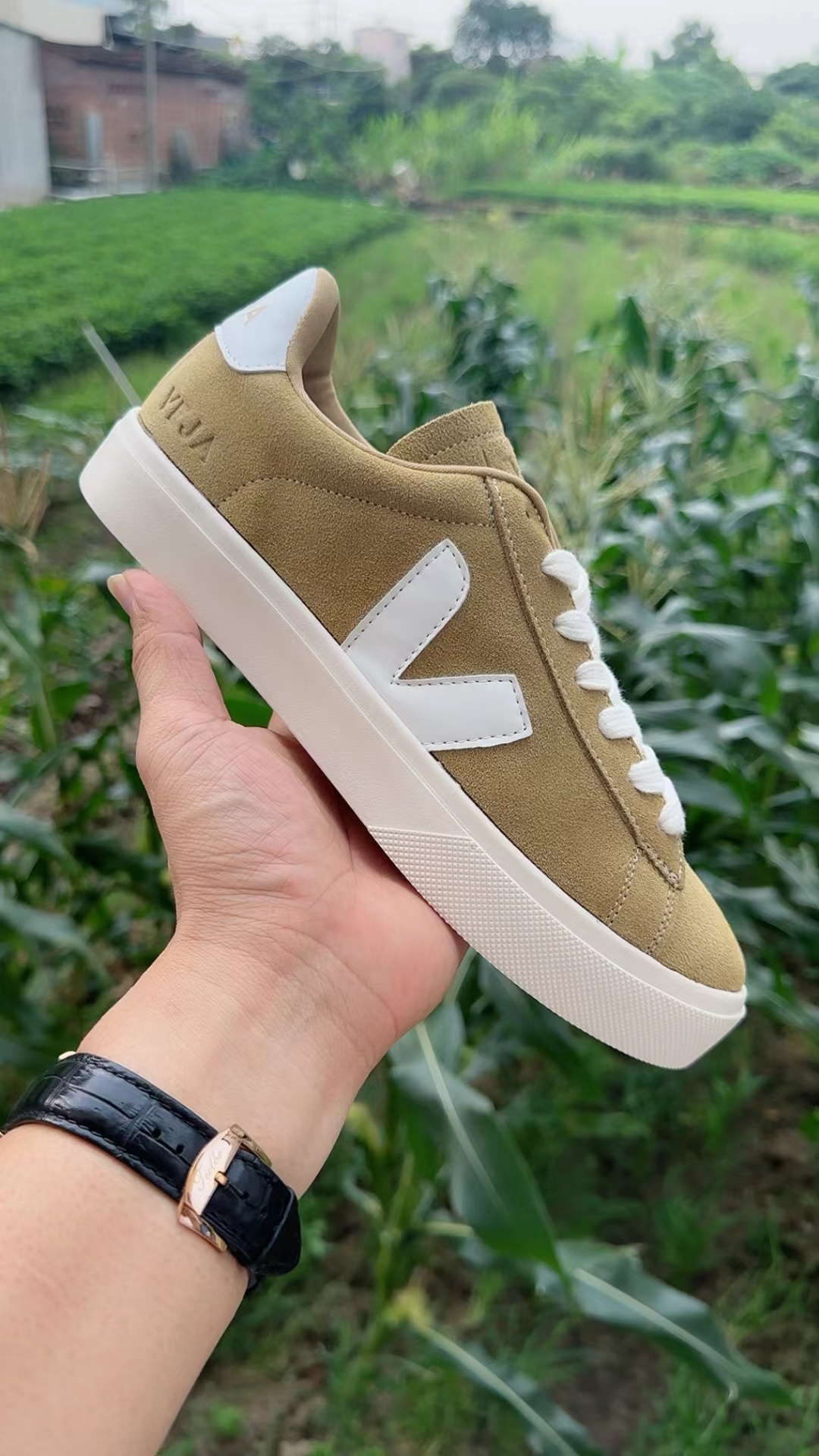 Veja Low（F41）