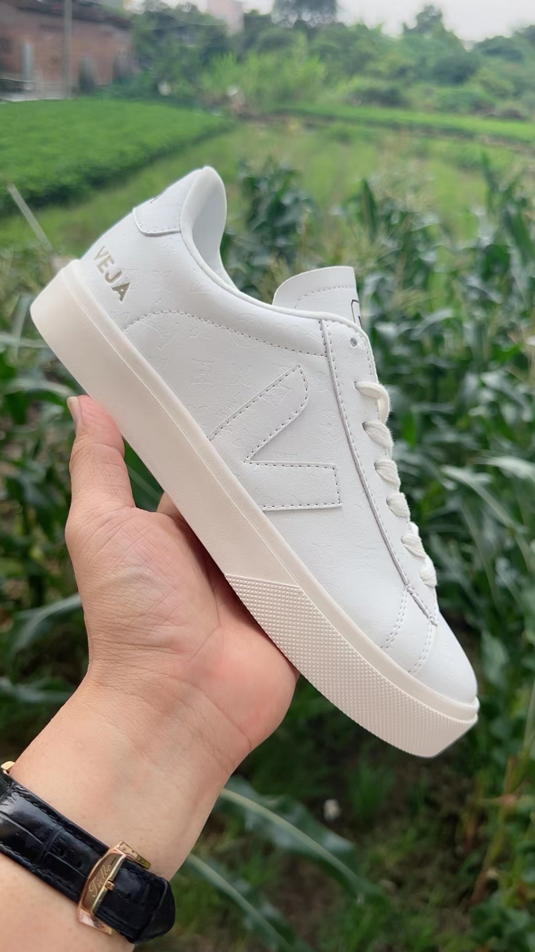 Veja Low（F41）