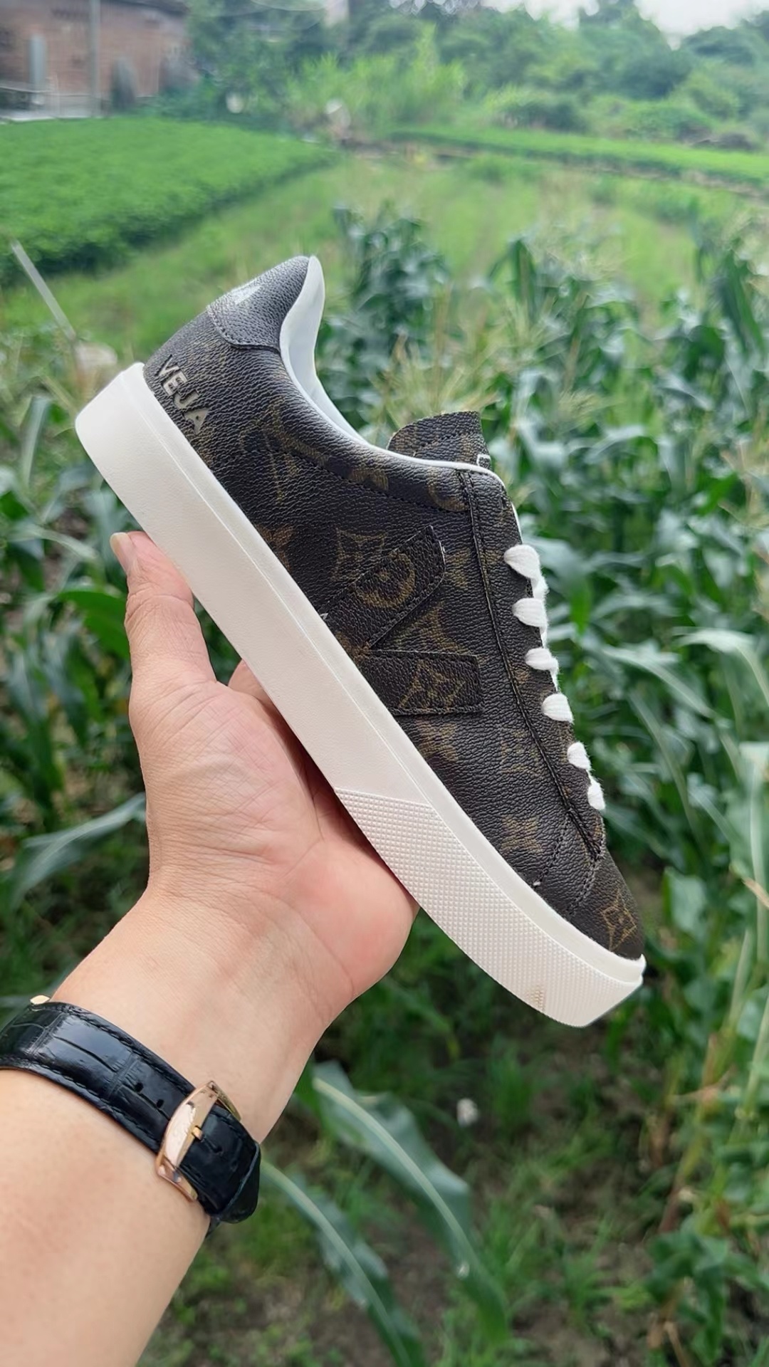 Veja Low（F41）