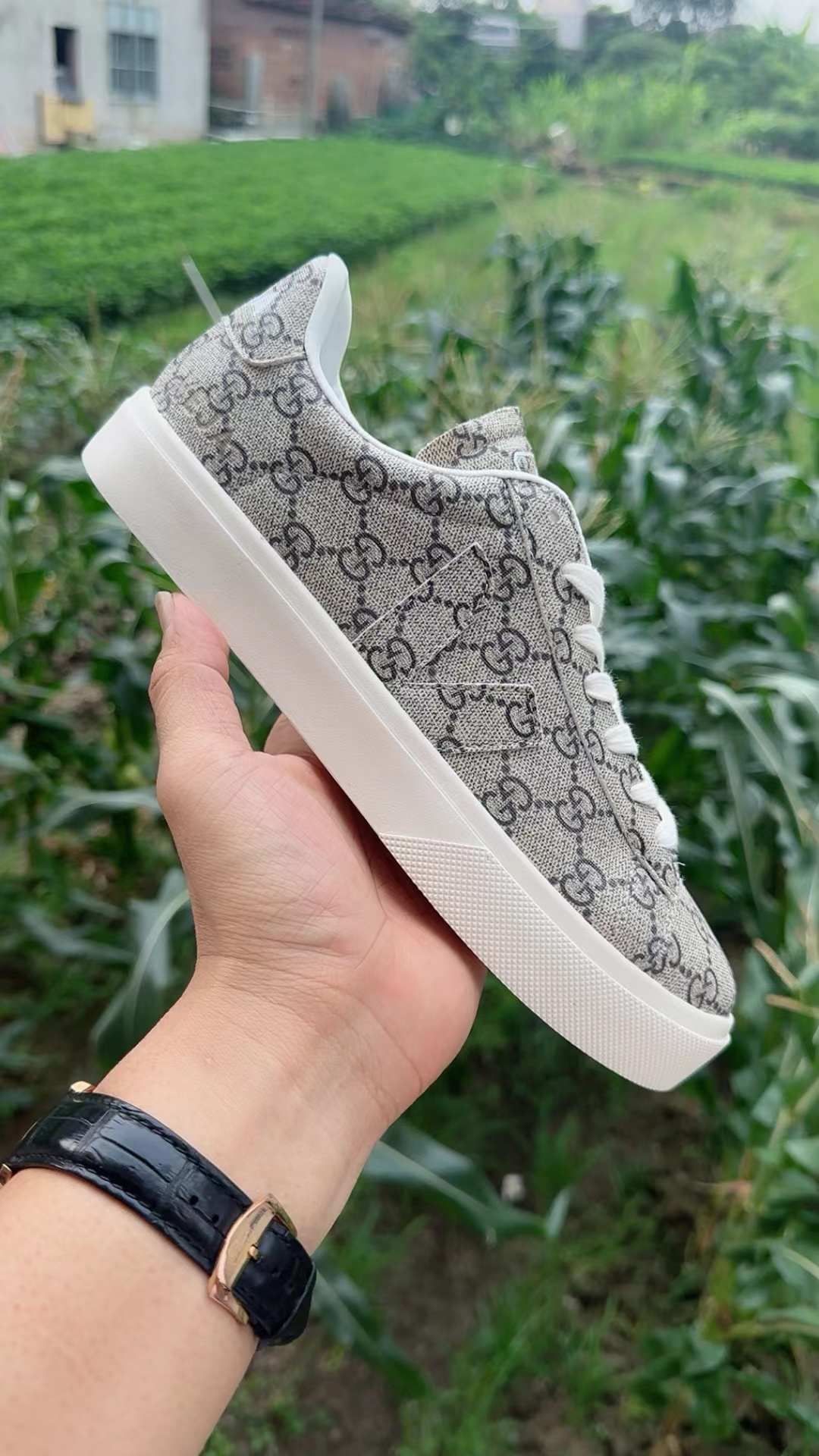 Veja Low（F41）