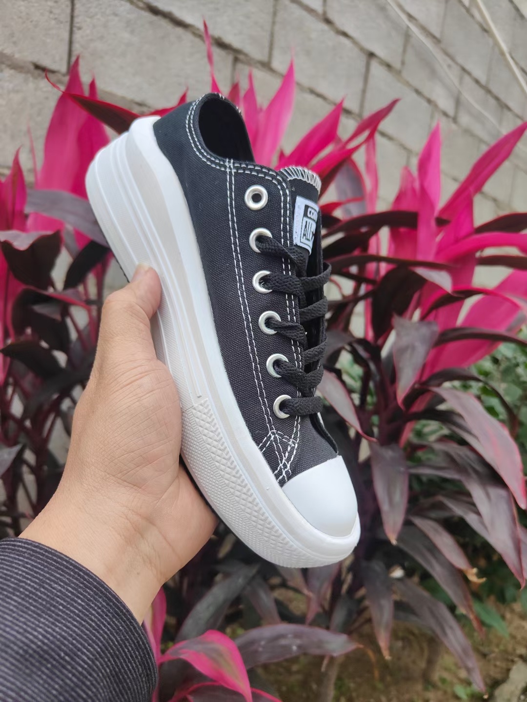 Conver-se Elevate（F41）