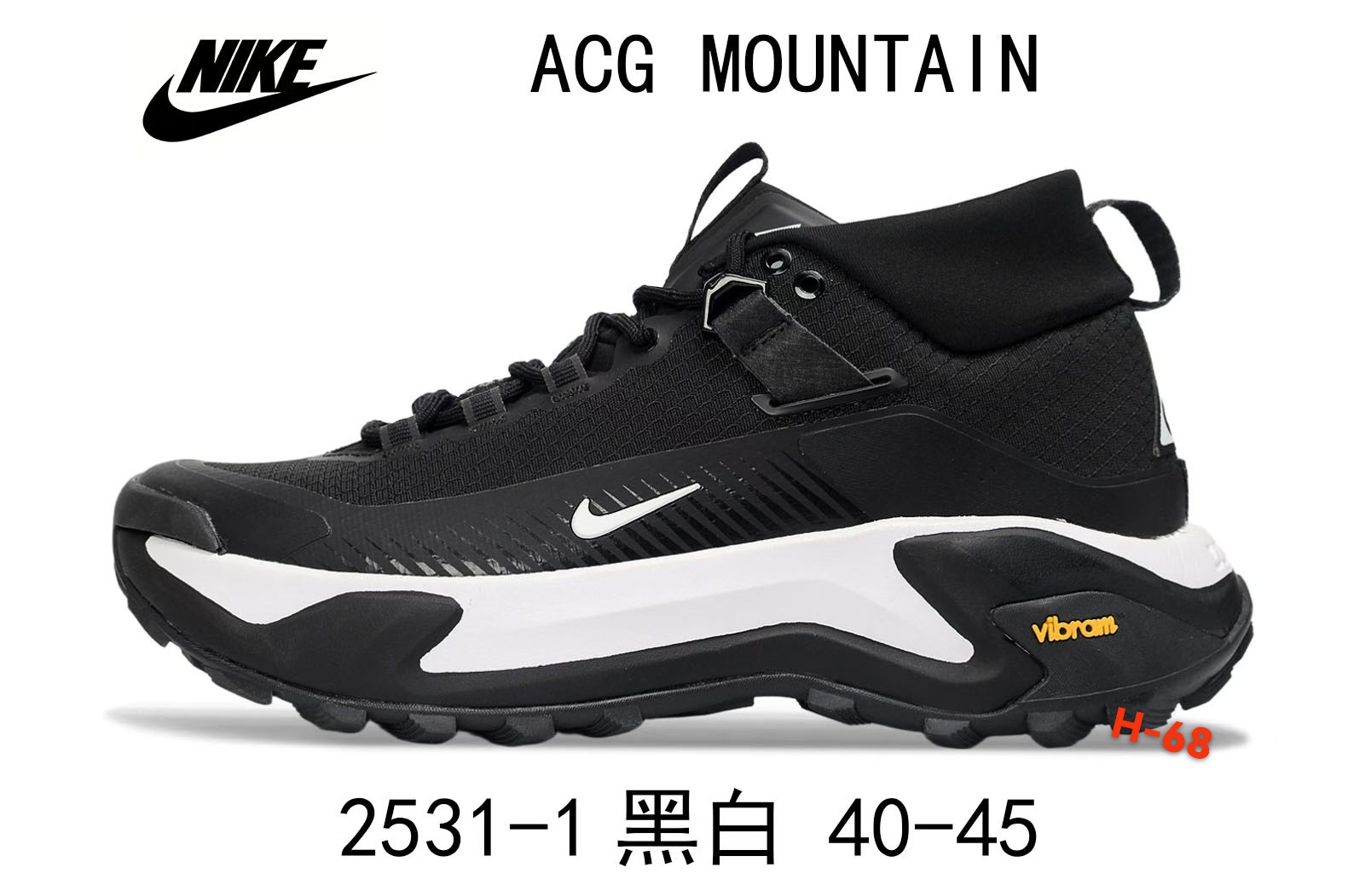 Nike ACG Mountain（H-68）