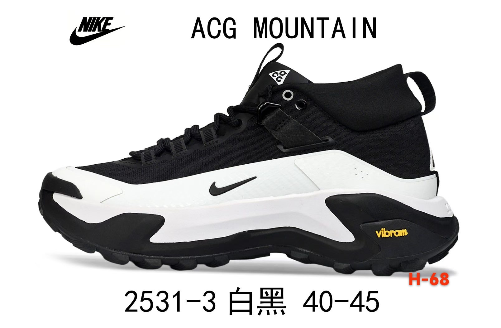 Nike ACG Mountain（H-68）