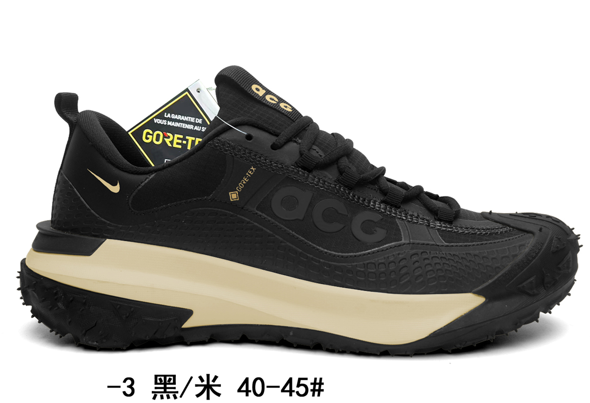 Nike ACG Low Gore-Tex (G56)