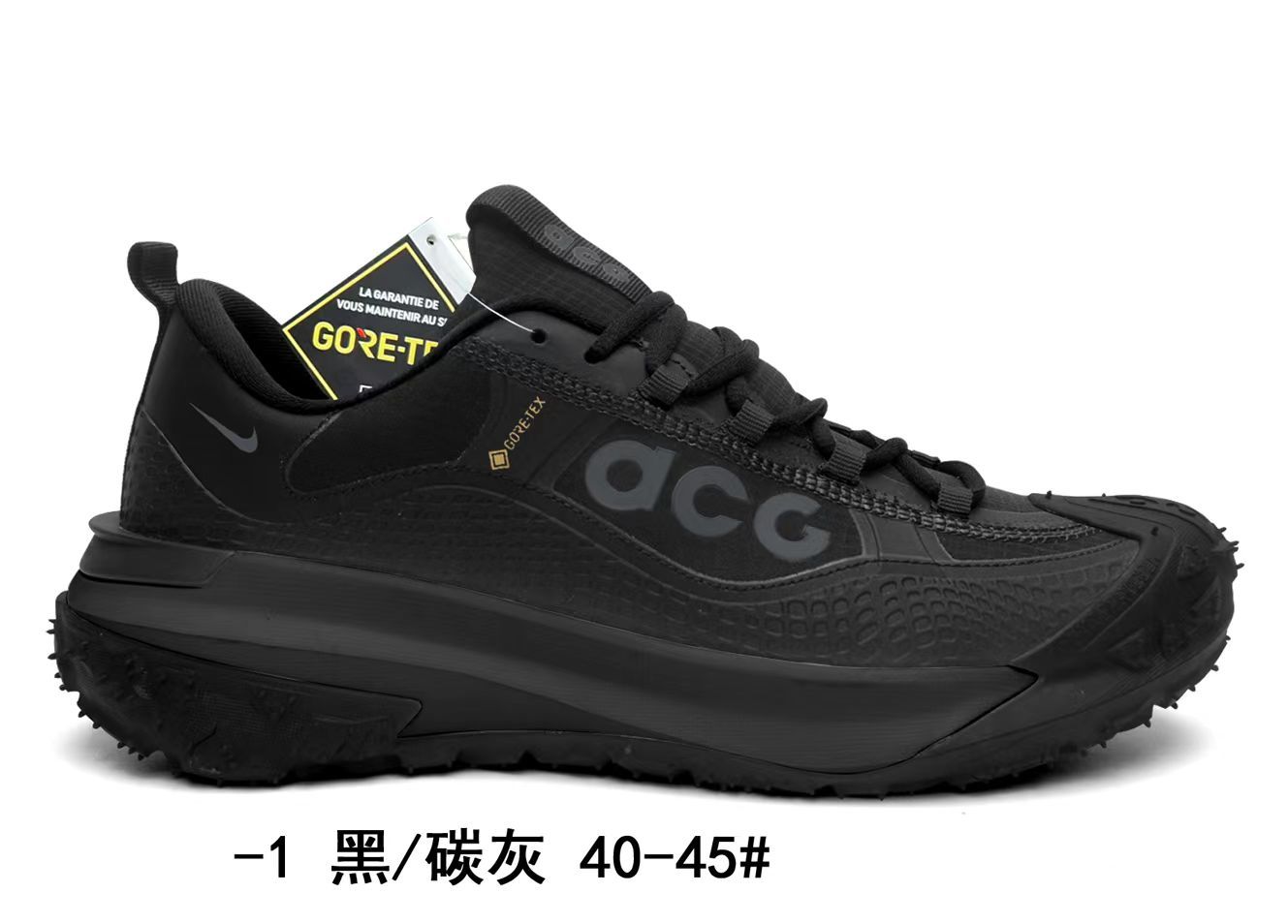 Nike ACG Low Gore-Tex (G56)