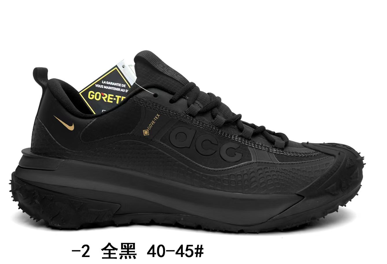 Nike ACG Low Gore-Tex (G56)