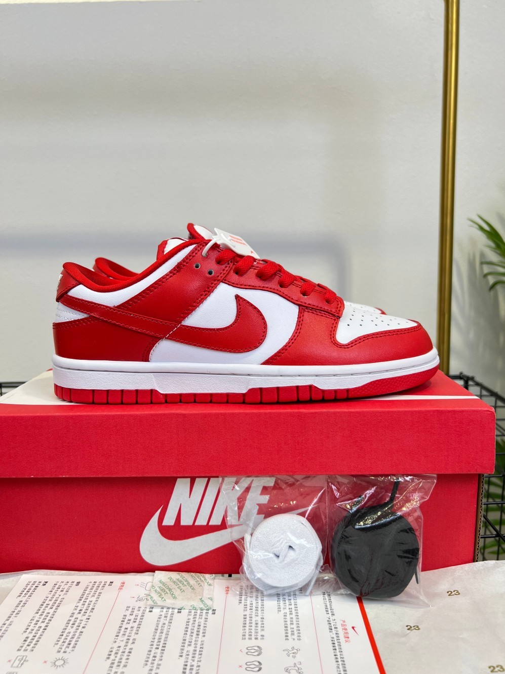 Nike Dunk SB #YJ