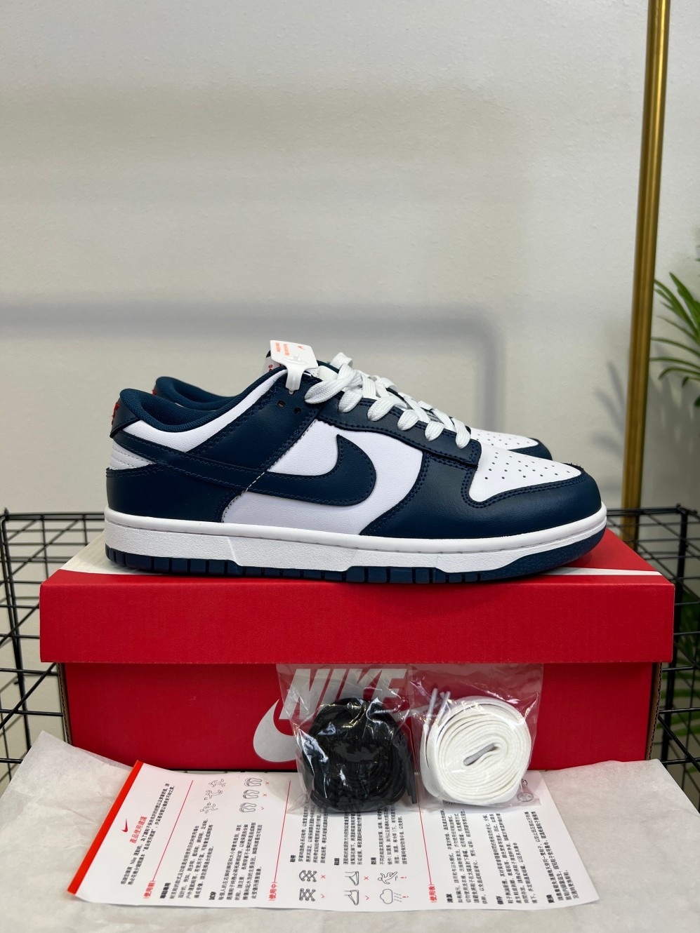 Nike Dunk SB #YJ