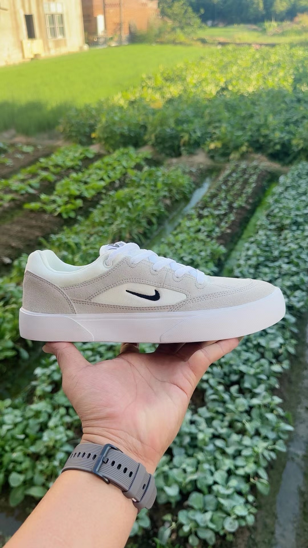 Nike SB（F41）