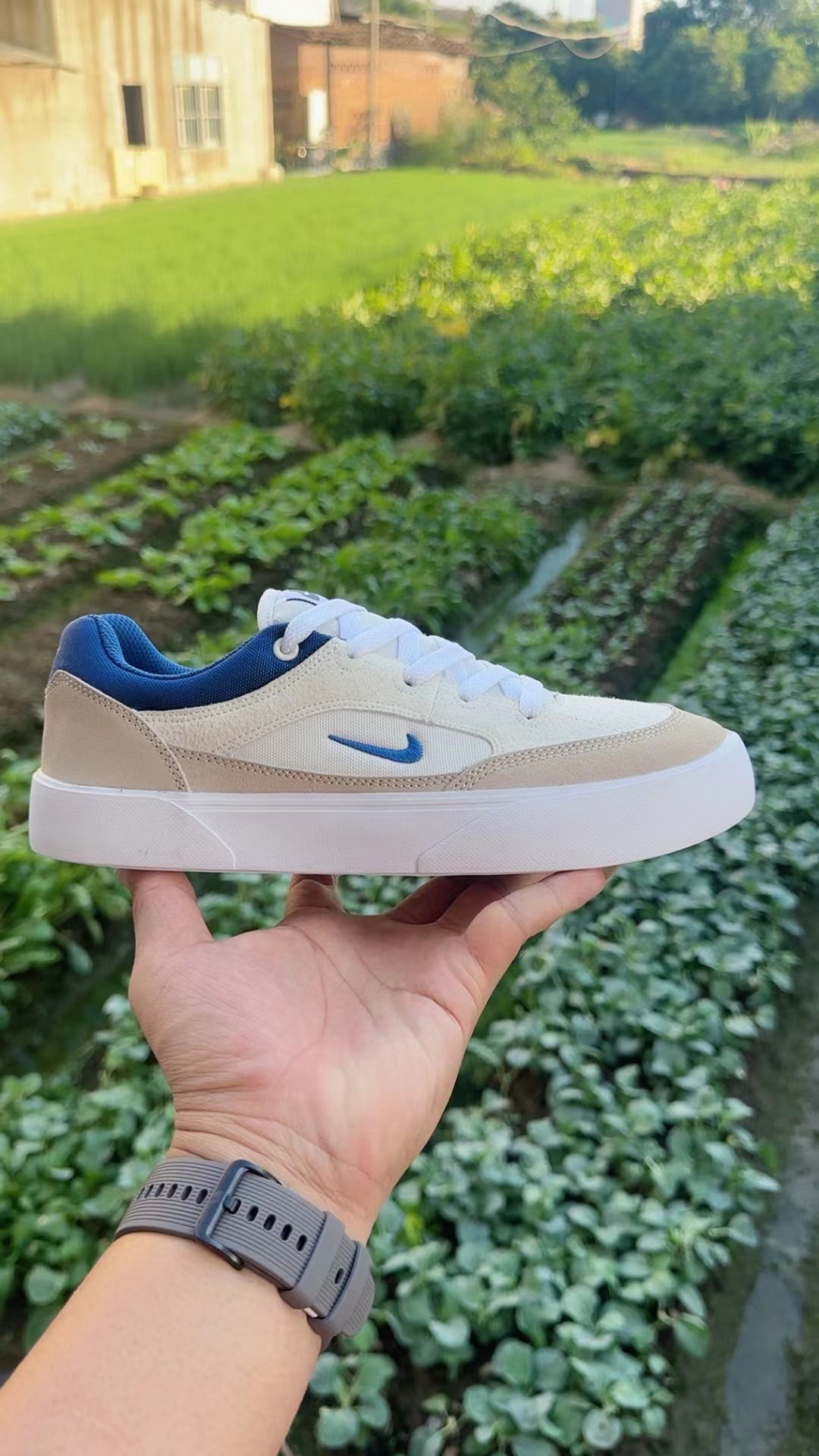 Nike SB（F41）