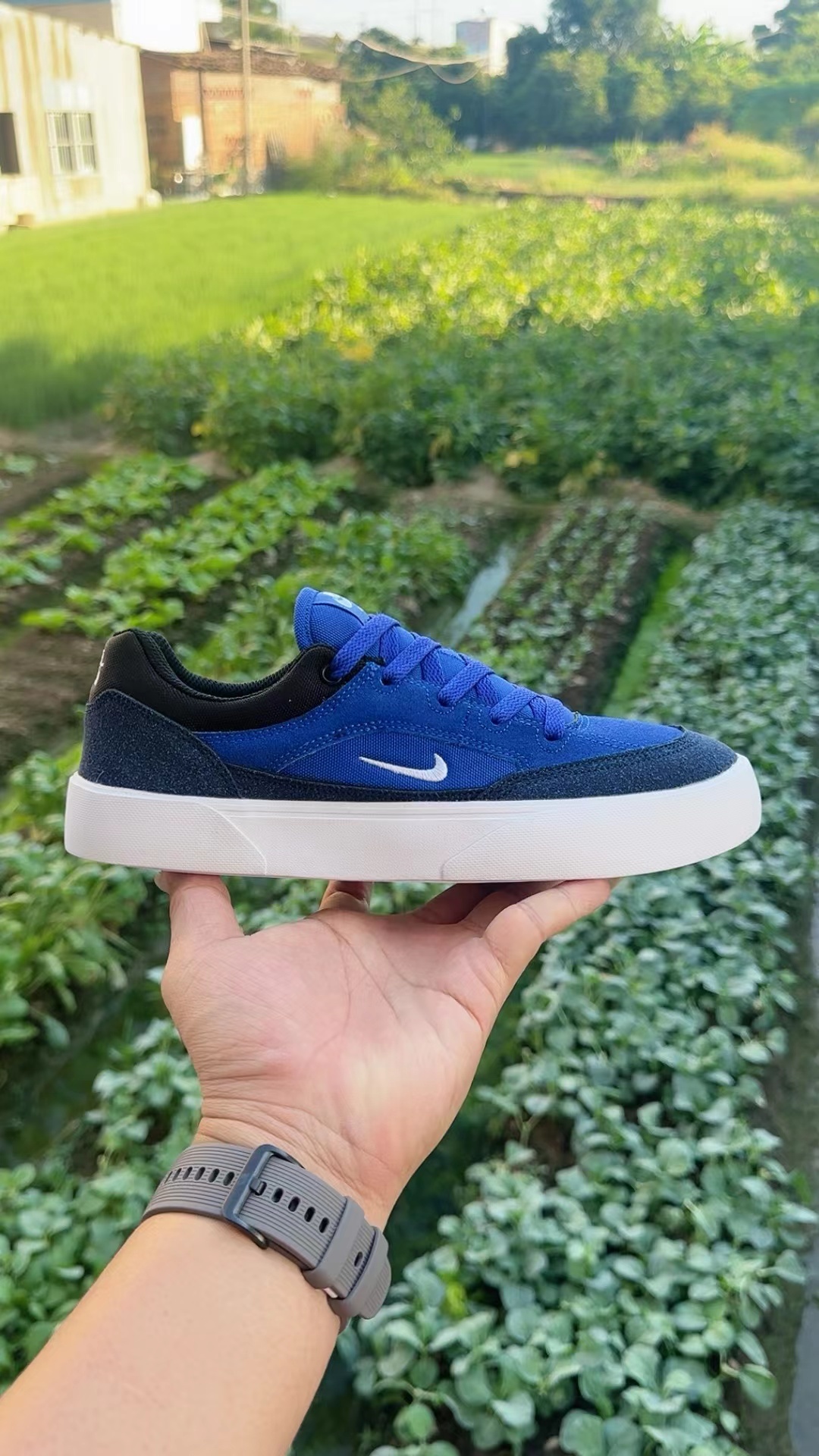 Nike SB（F41）