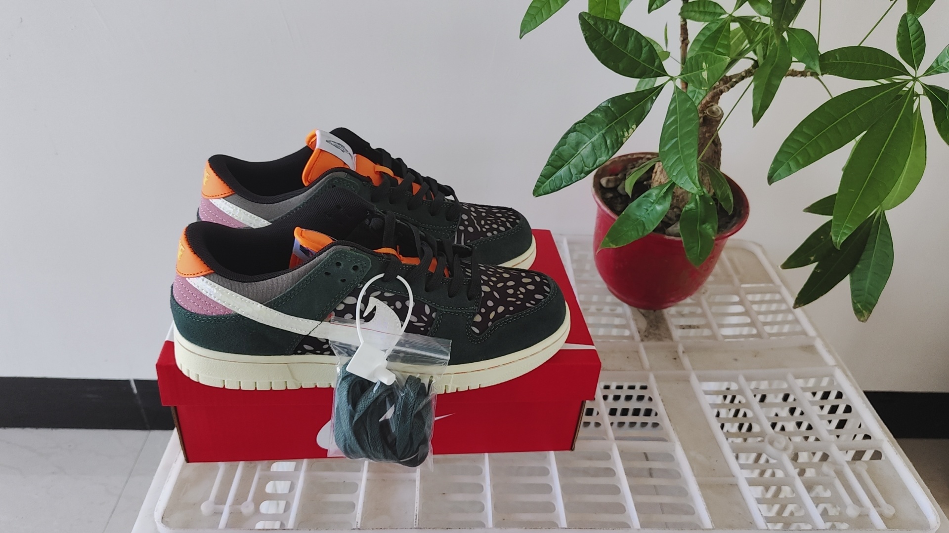 Nike SB New Colors（068）