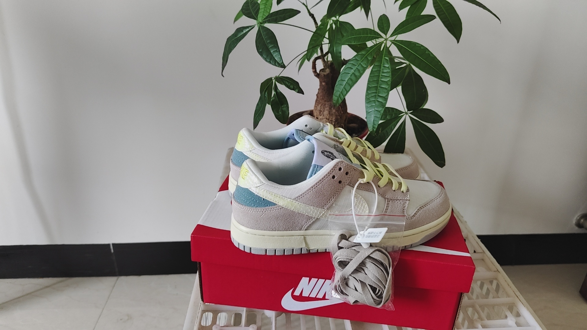Nike SB New Colors（068）