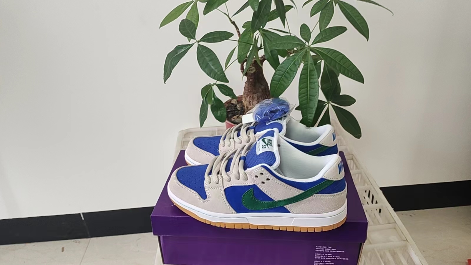 Nike SB New Colors（068）