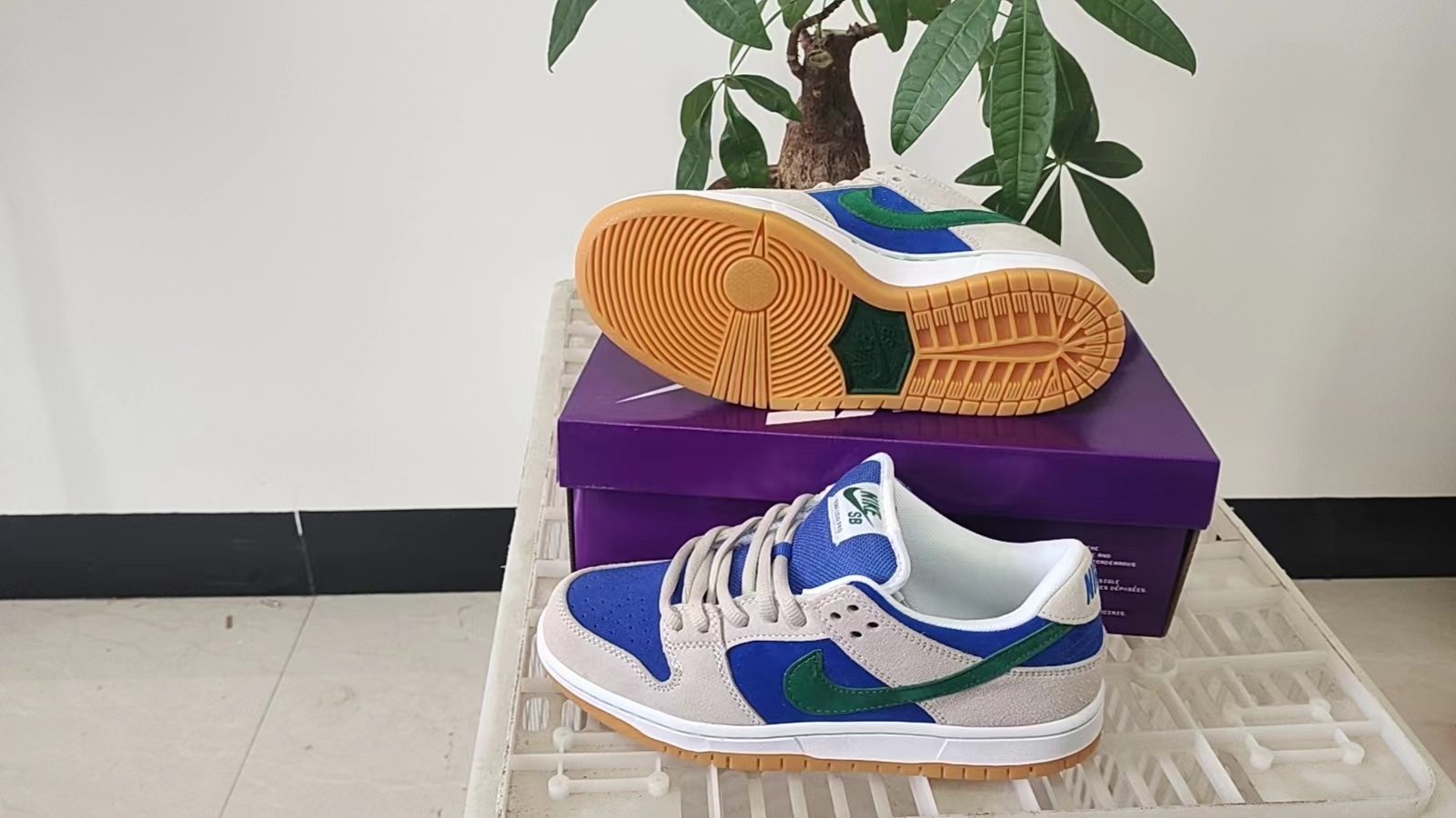 Nike SB New Colors（068）