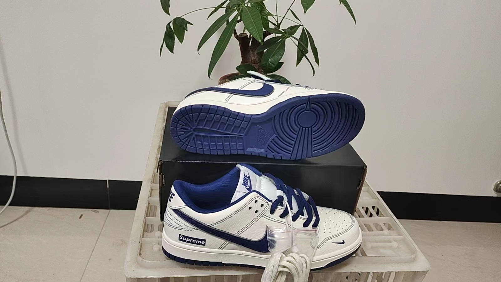 Nike SB New Colors（068）