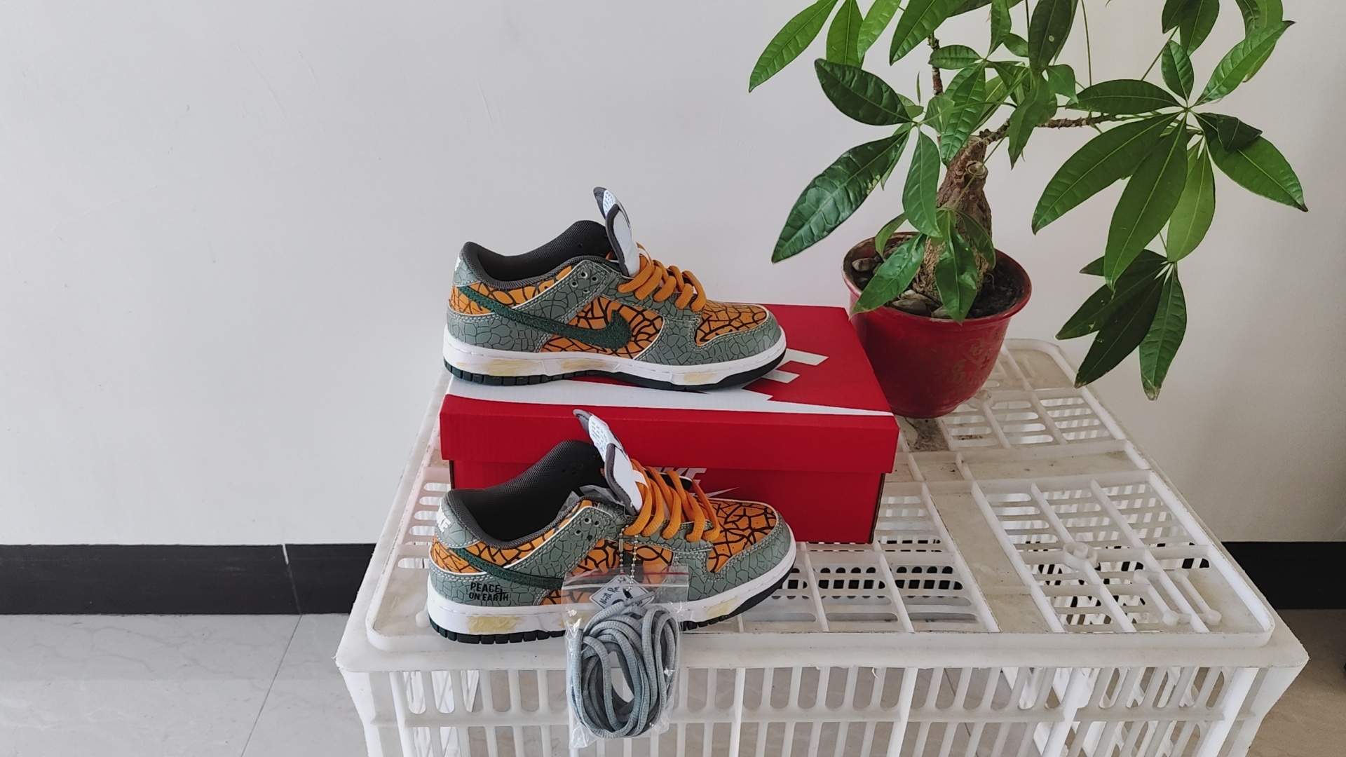 Nike SB New Colors（068）