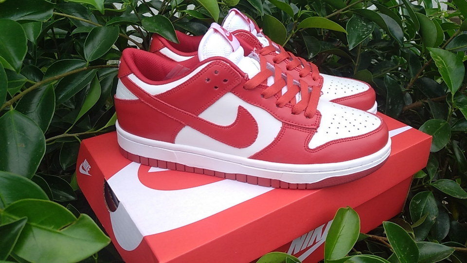 Dunk Low Leather (High Quality) #飘