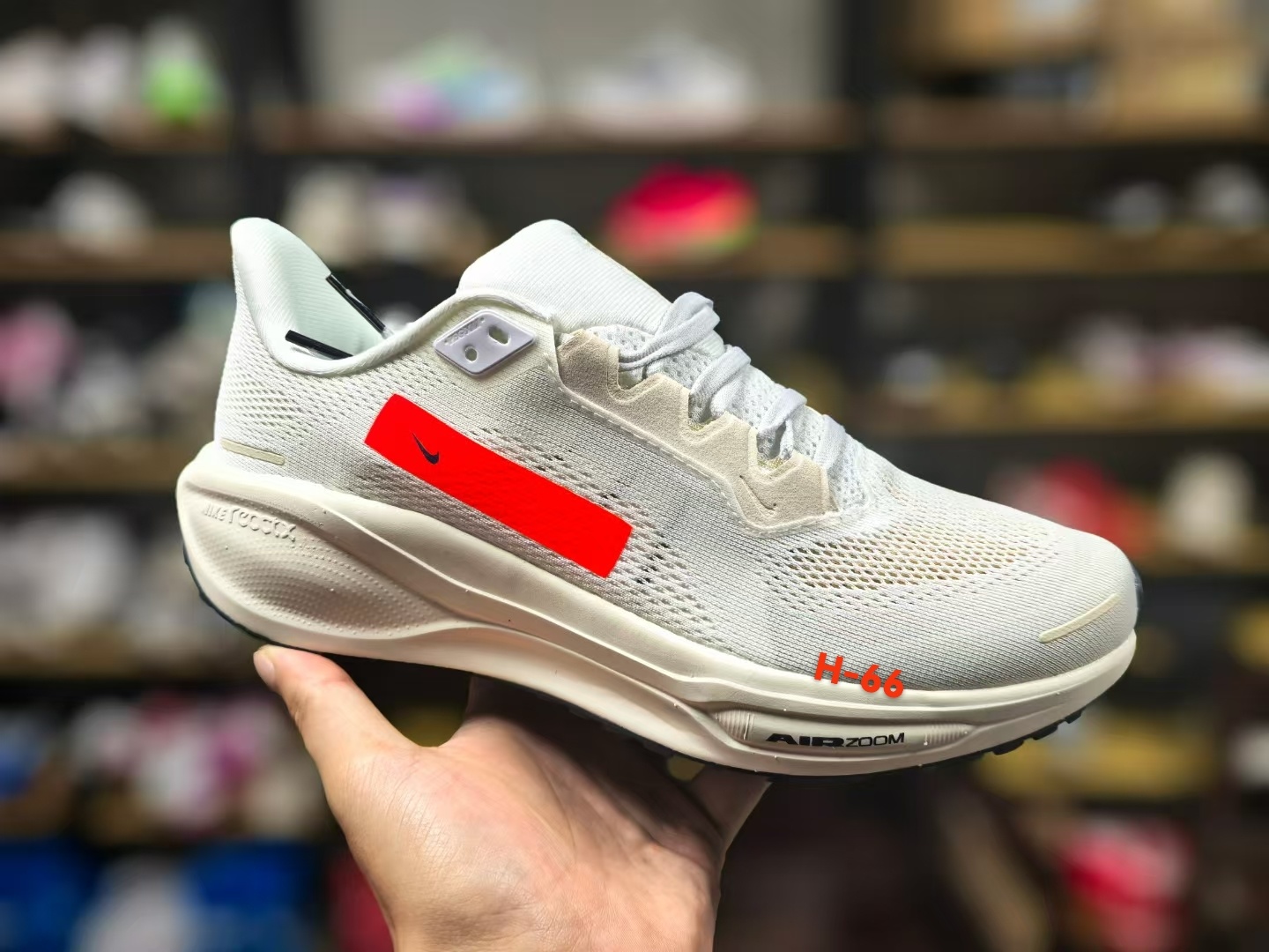 Nike Pegasus 41（H-66）