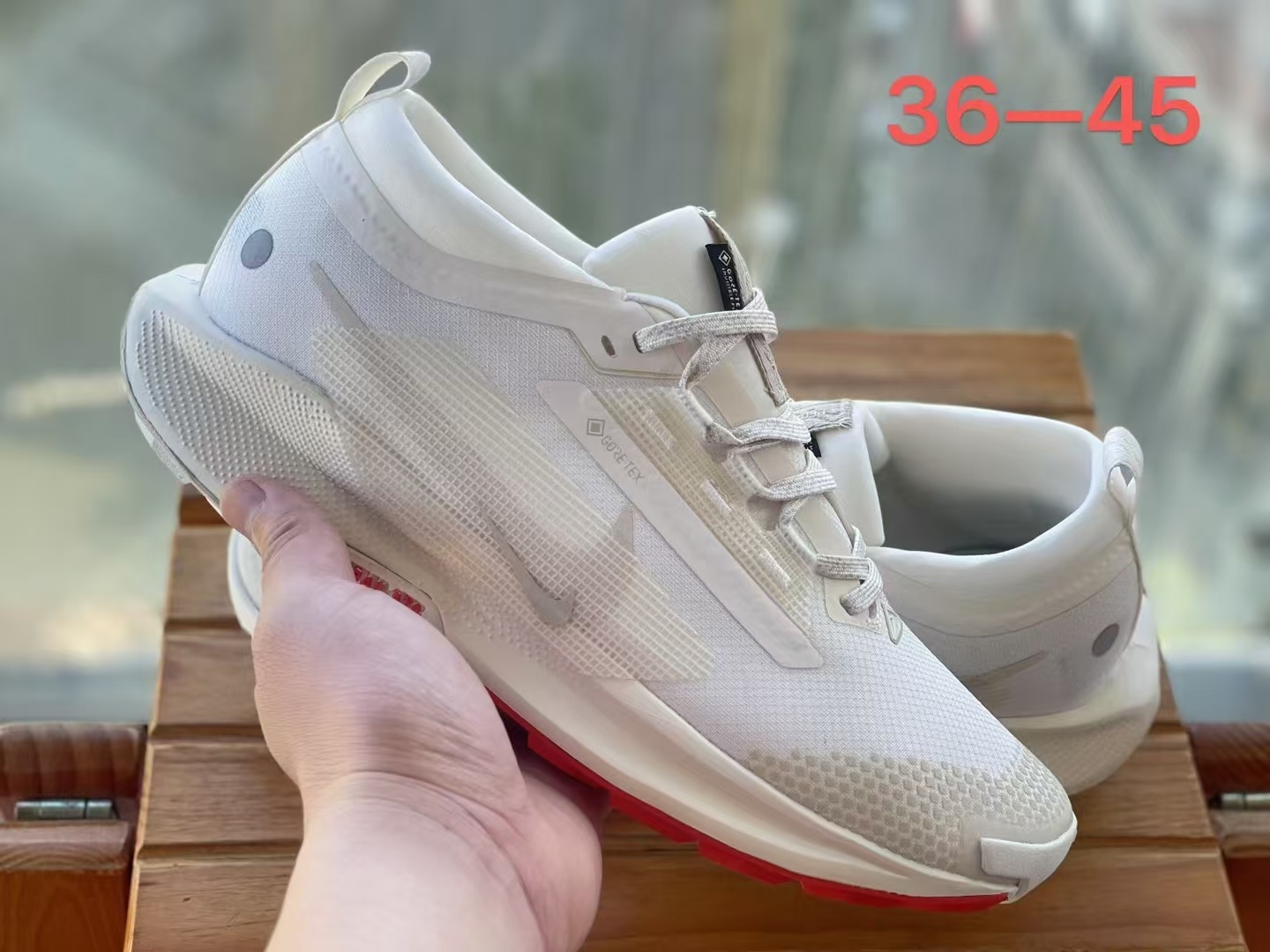 Nike Pegasus Trail 5（H-63）