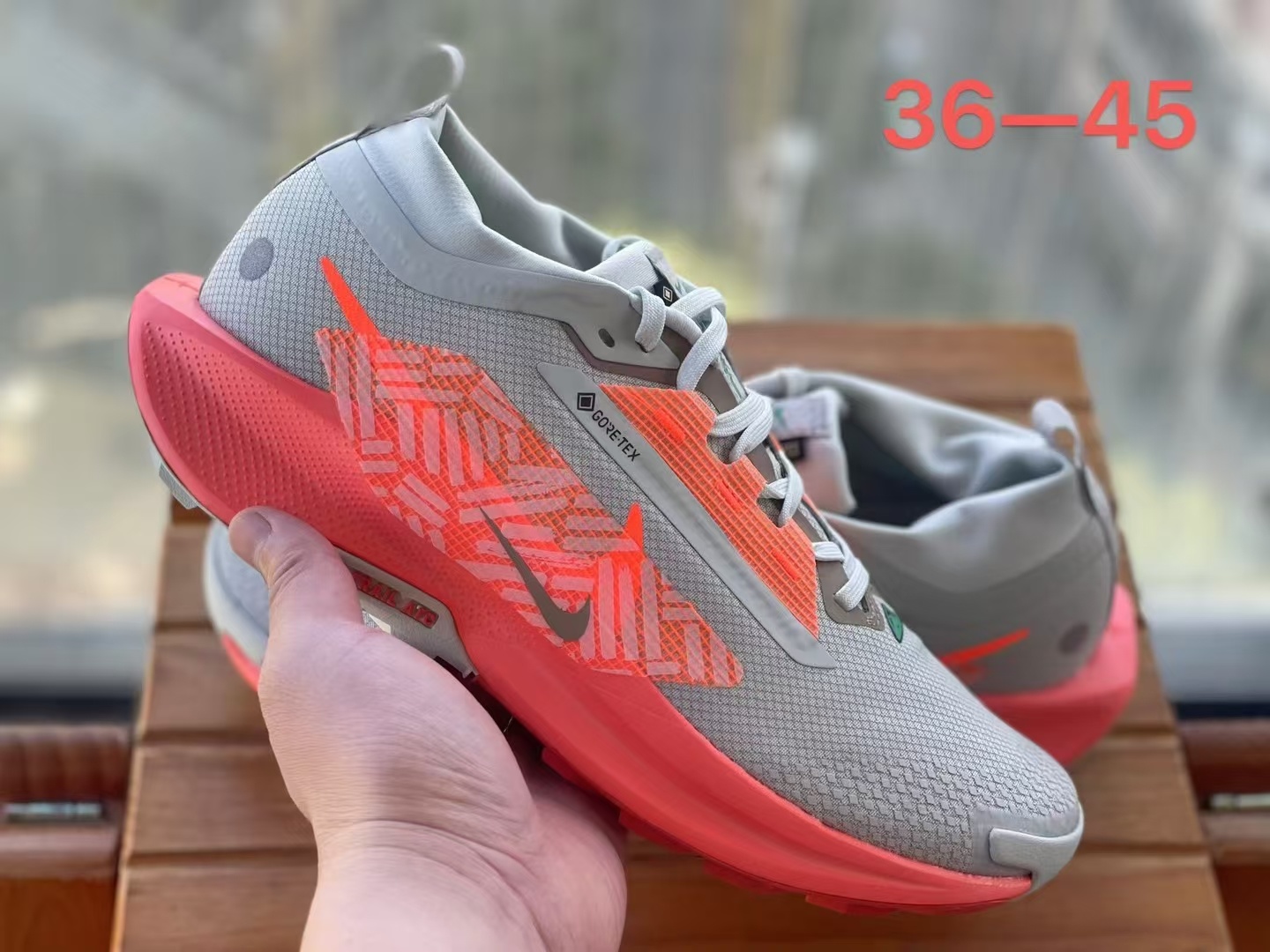 Nike Pegasus Trail 5（H-63）