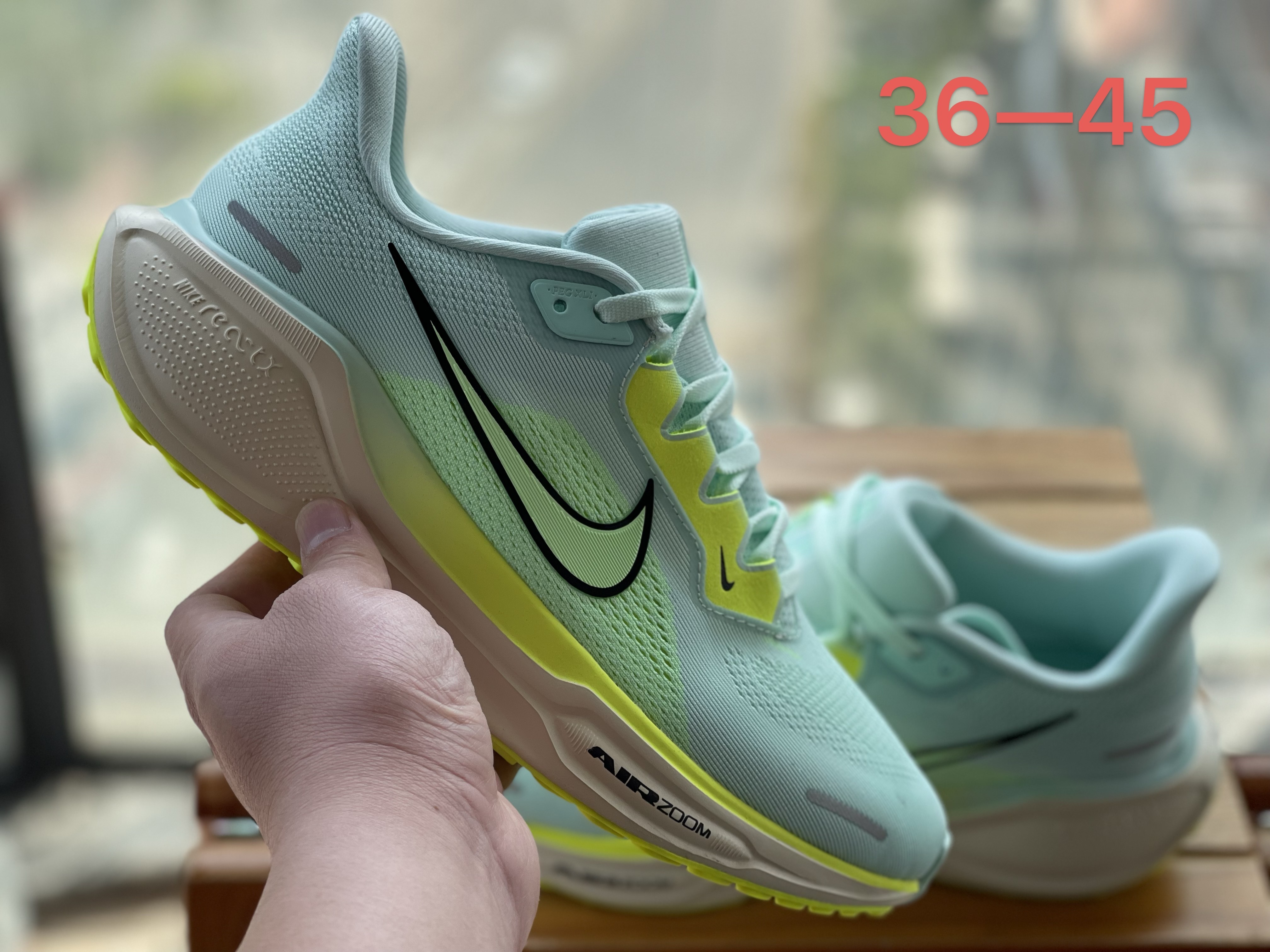 Air Zoom Pegasus 41（H-63）