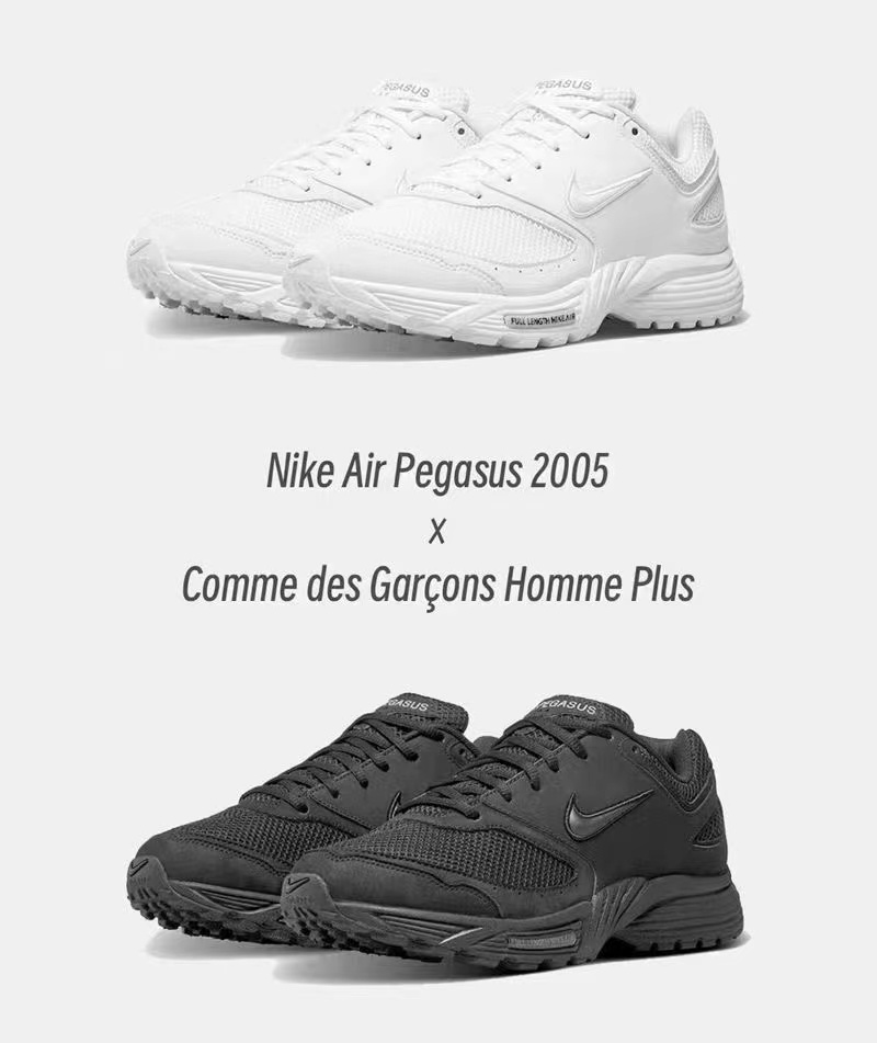 Nike Air Pegasus 2005（F95）