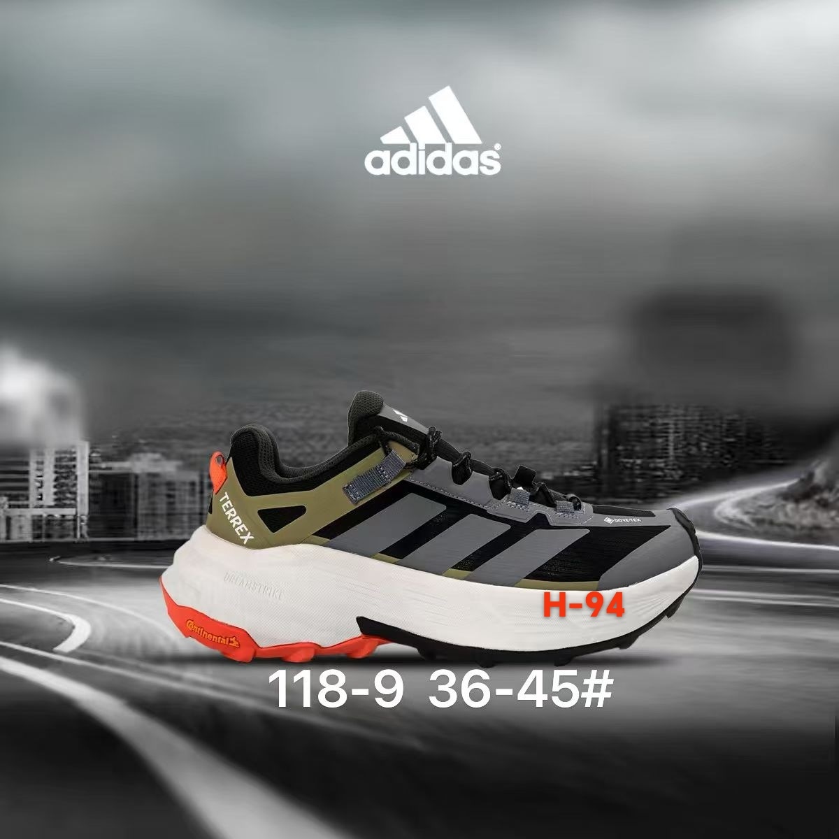 Adidas Terrex Gore-Tex #118（H-94）
