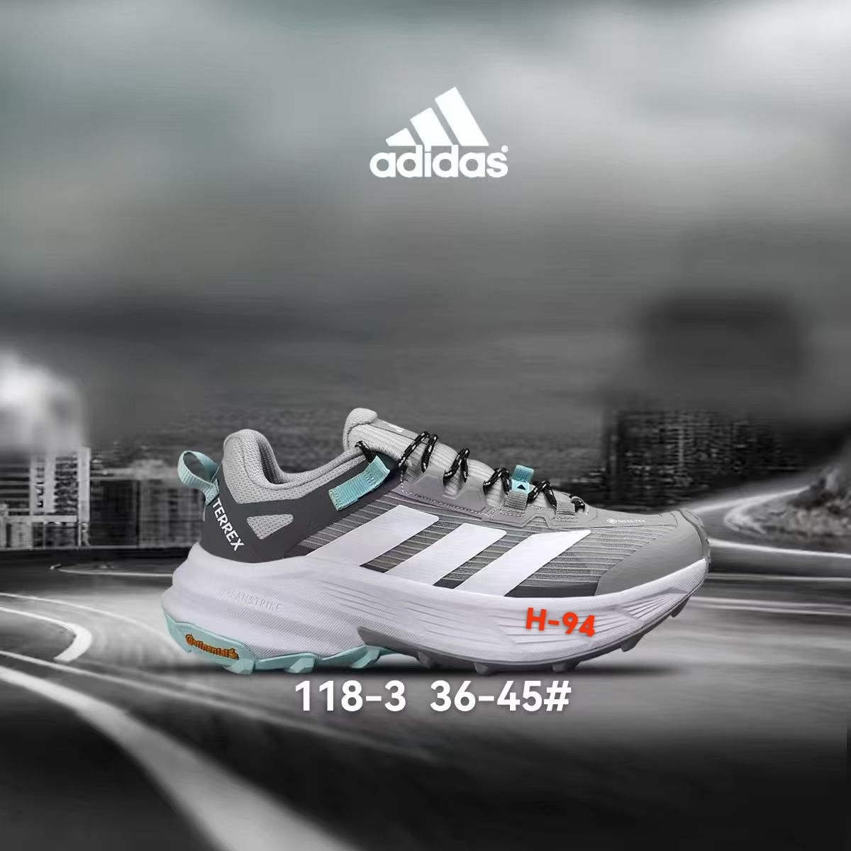 Adidas Terrex Gore-Tex #118（H-94）