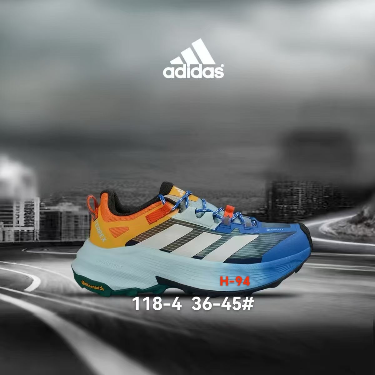 Adidas Terrex Gore-Tex #118（H-94）