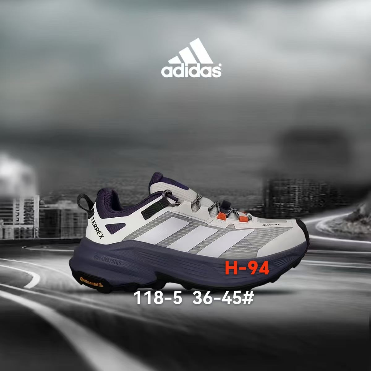 Adidas Terrex Gore-Tex #118（H-94）