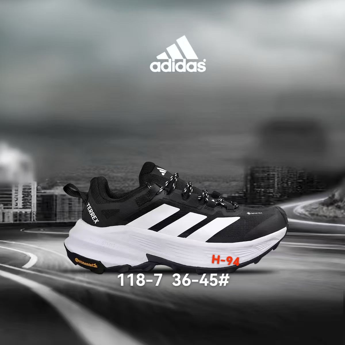 Adidas Terrex Gore-Tex #118（H-94）