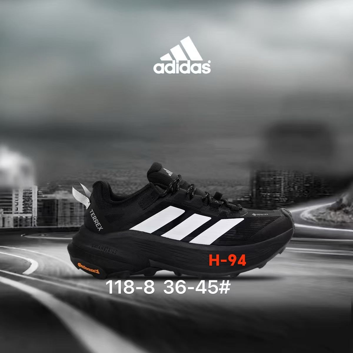 Adidas Terrex Gore-Tex #118（H-94）