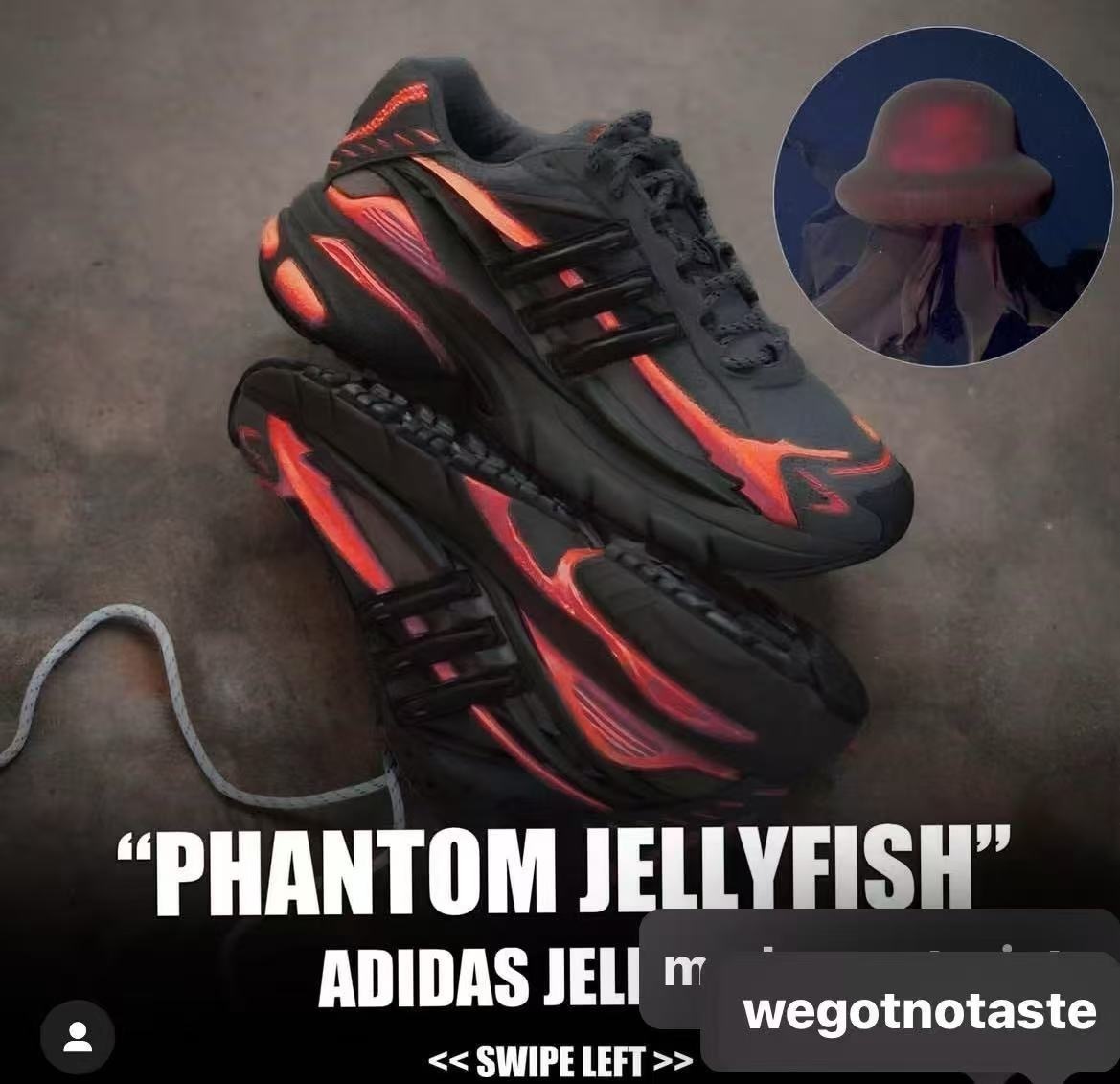 Adidas Jellyfish #葫芦