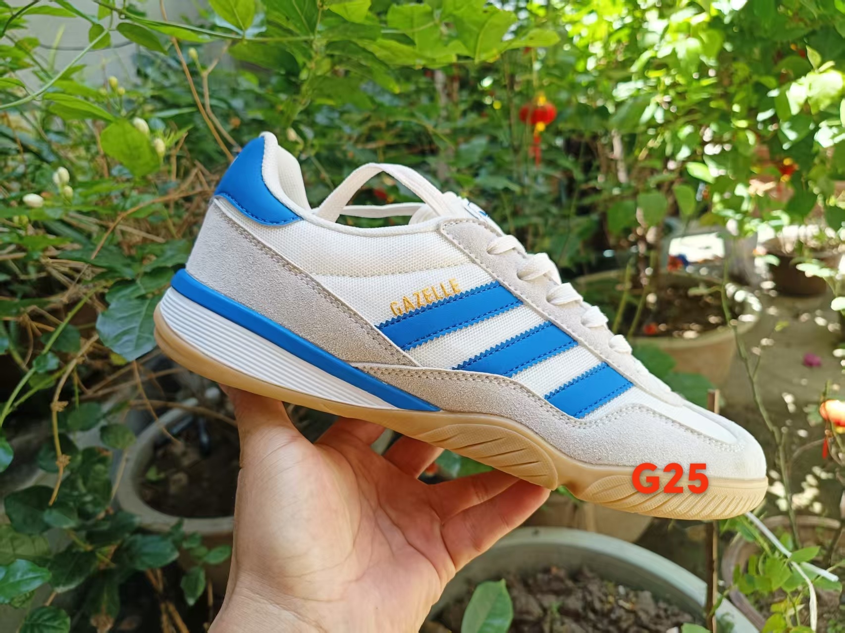 Gazelle （G25）