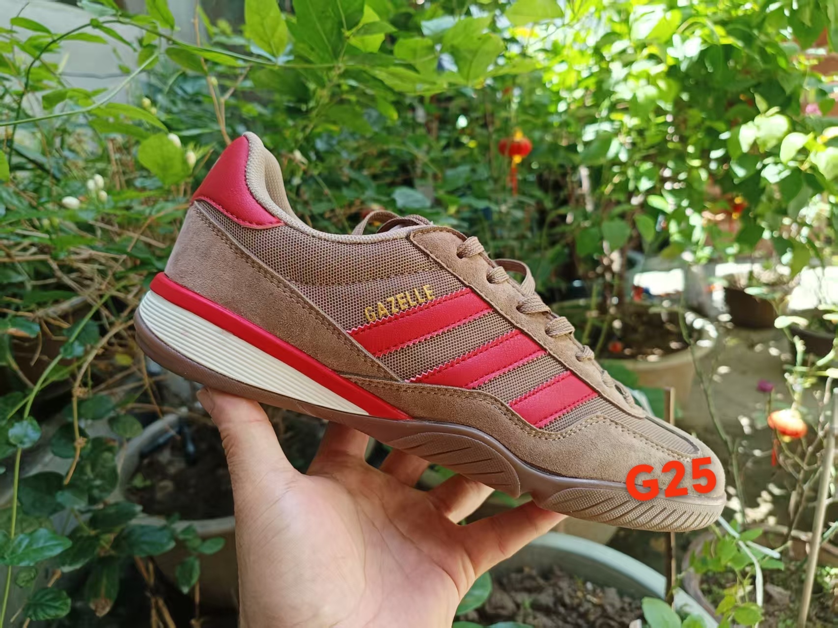 Gazelle （G25）