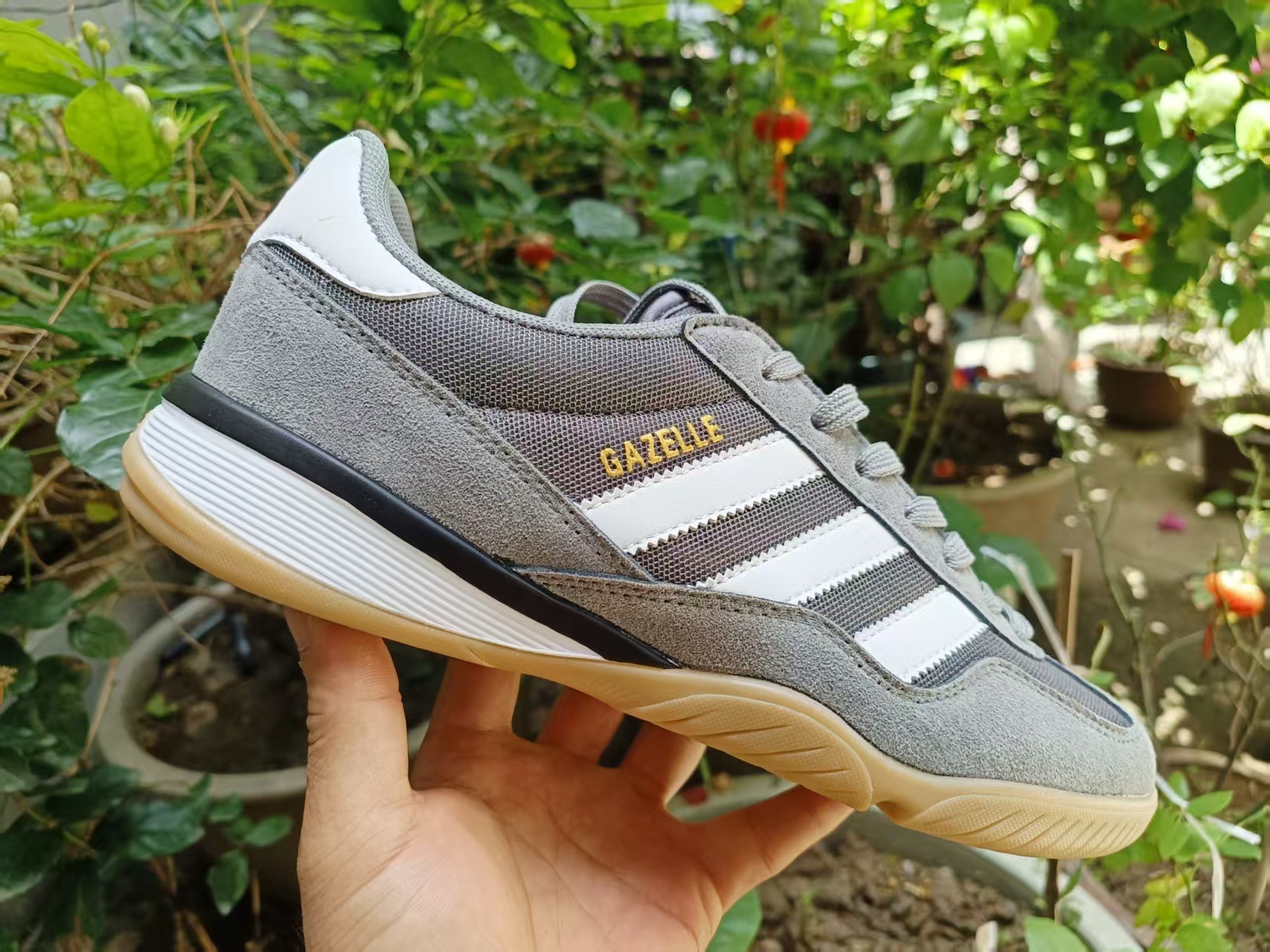 Gazelle （G25）