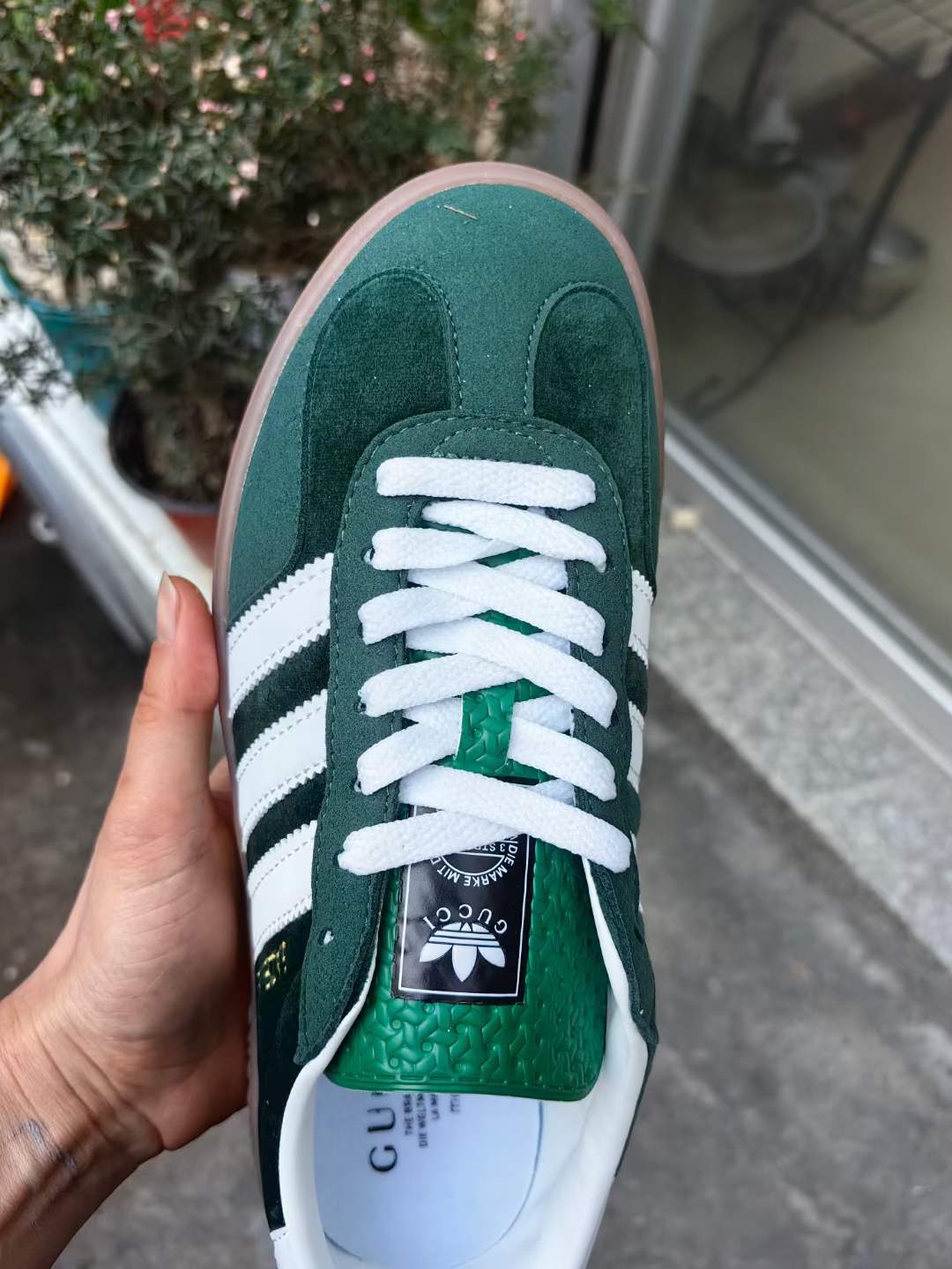 Gu-cci X Gazelle（H-28 F12小林）