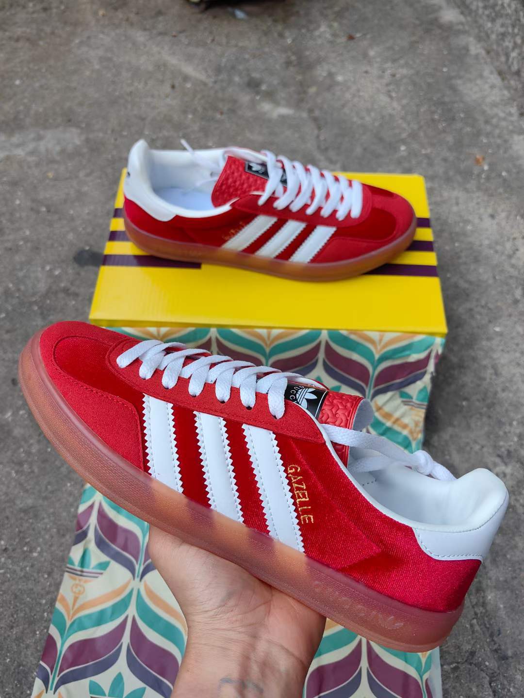 Gu-cci X Gazelle（H-28 F12小林）