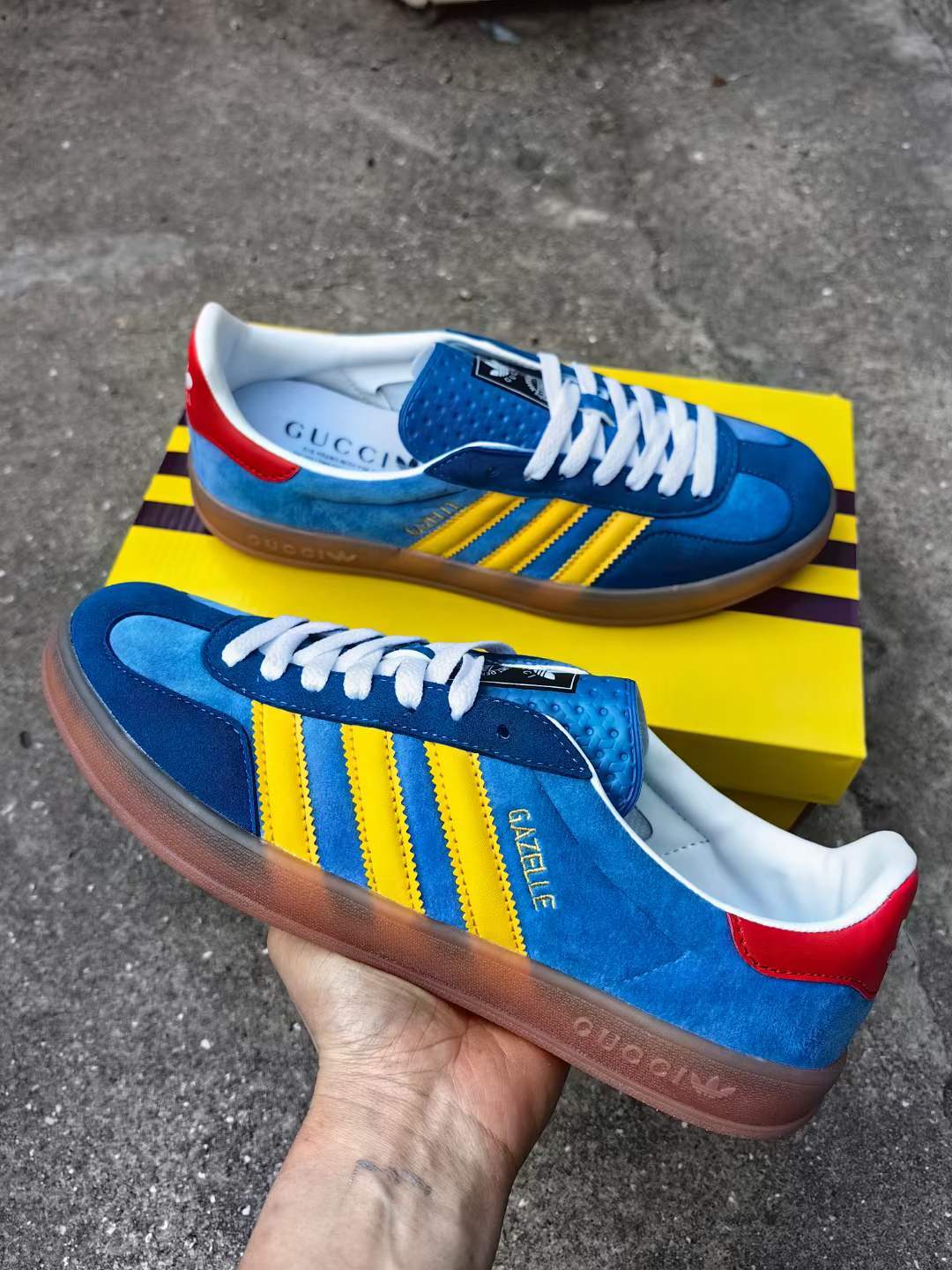 Gu-cci X Gazelle（H-28 F12小林）