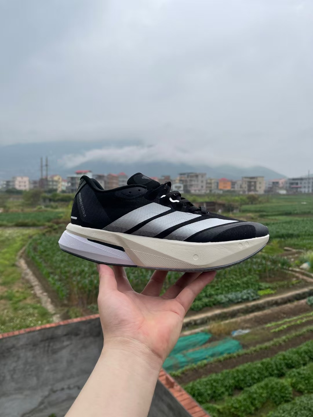 adiZero Boston 13 ​（J-14  H-28 H-42）