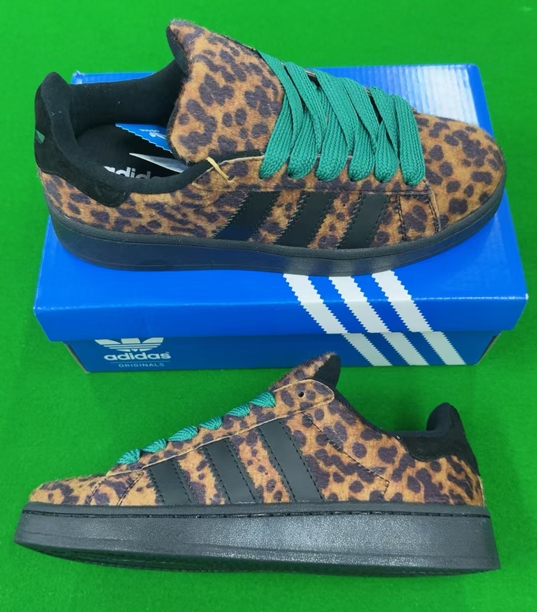 Adidas Campus（D13）