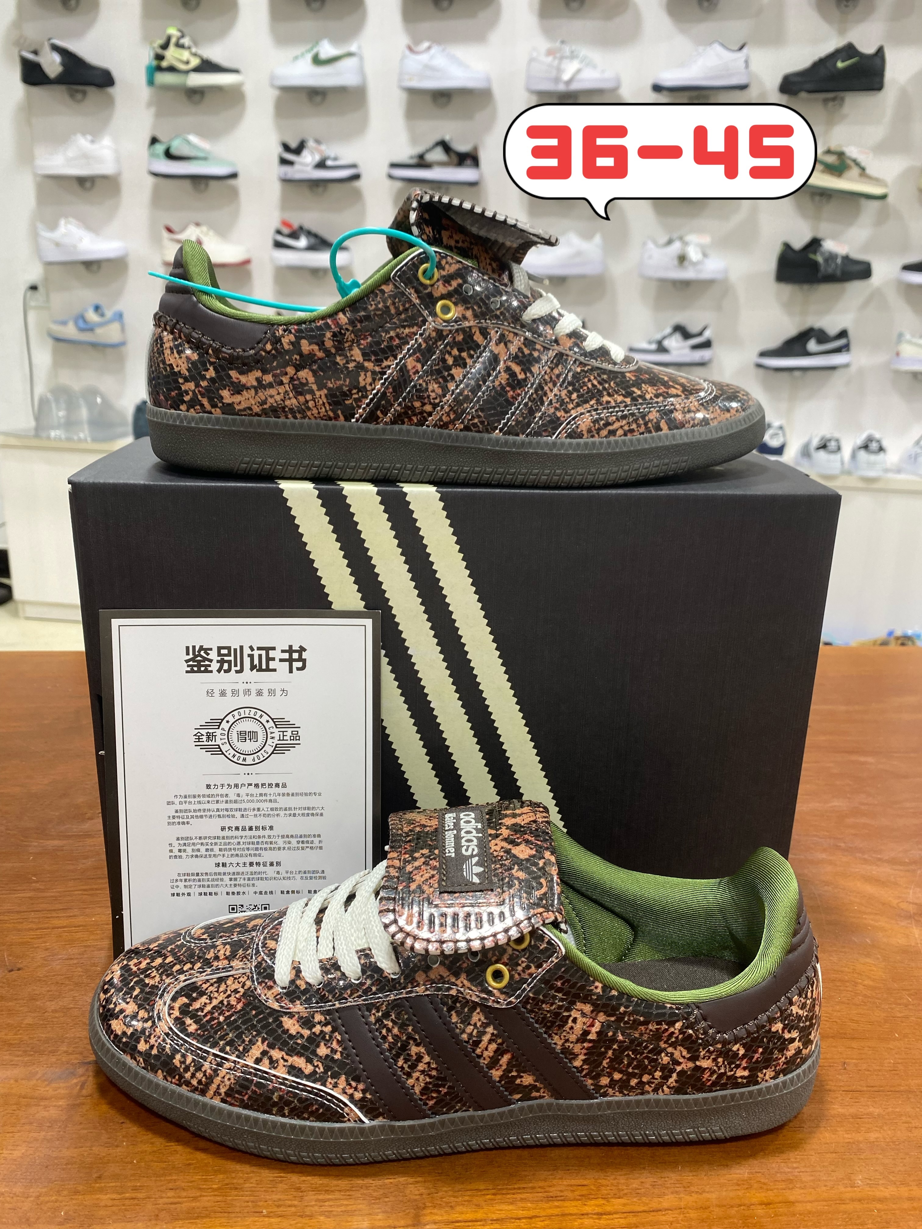 Samba 德训系列 (和）