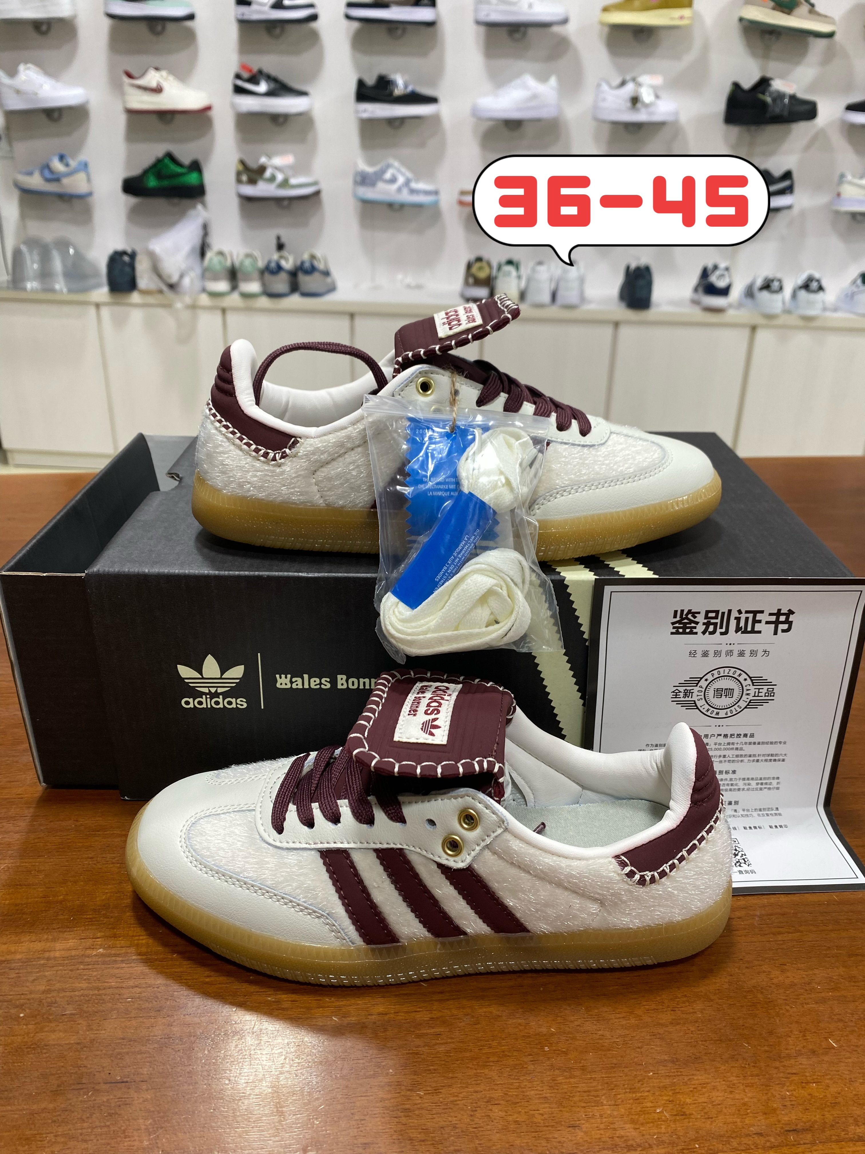 Samba 德训系列 (和）