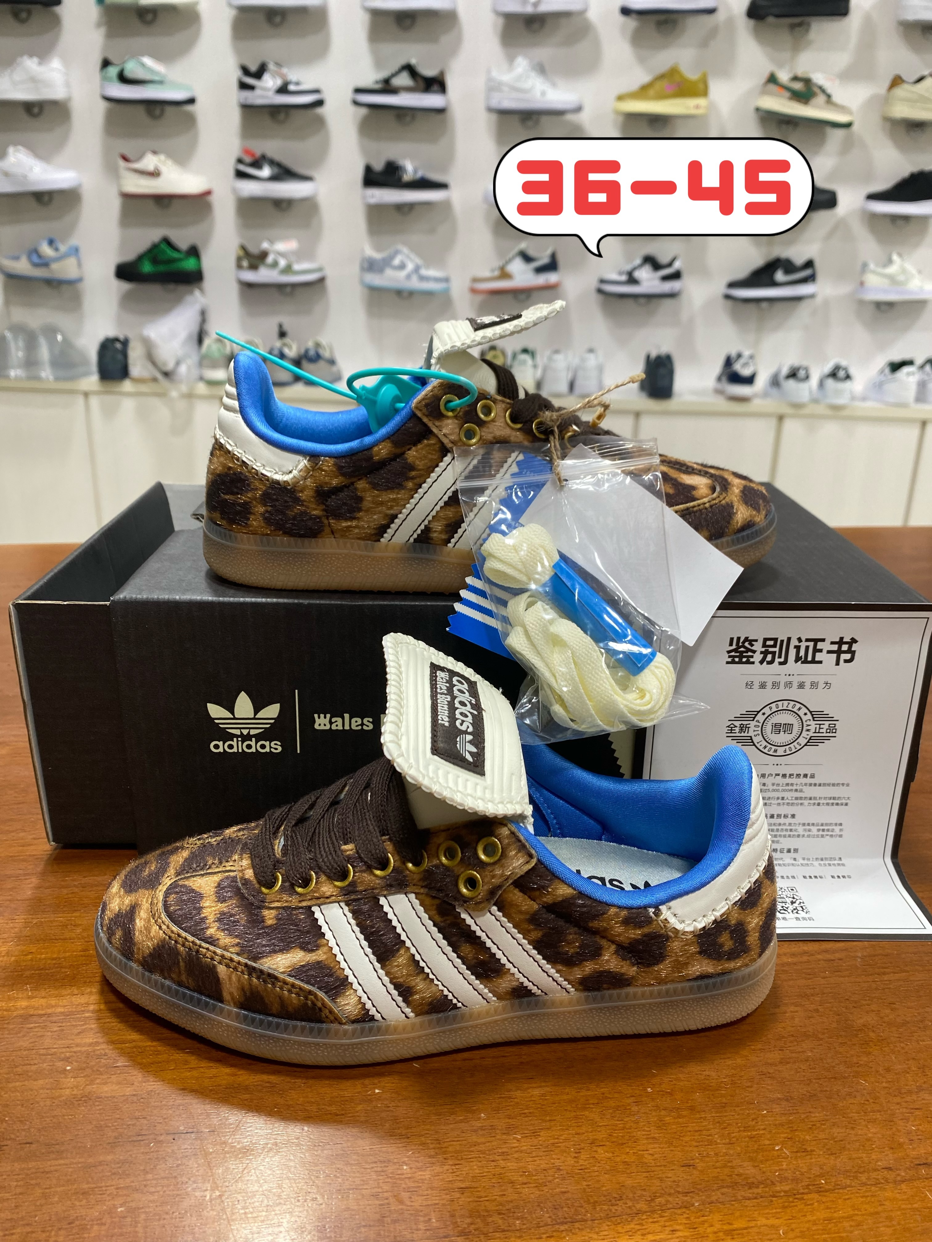Samba 德训系列 (和）