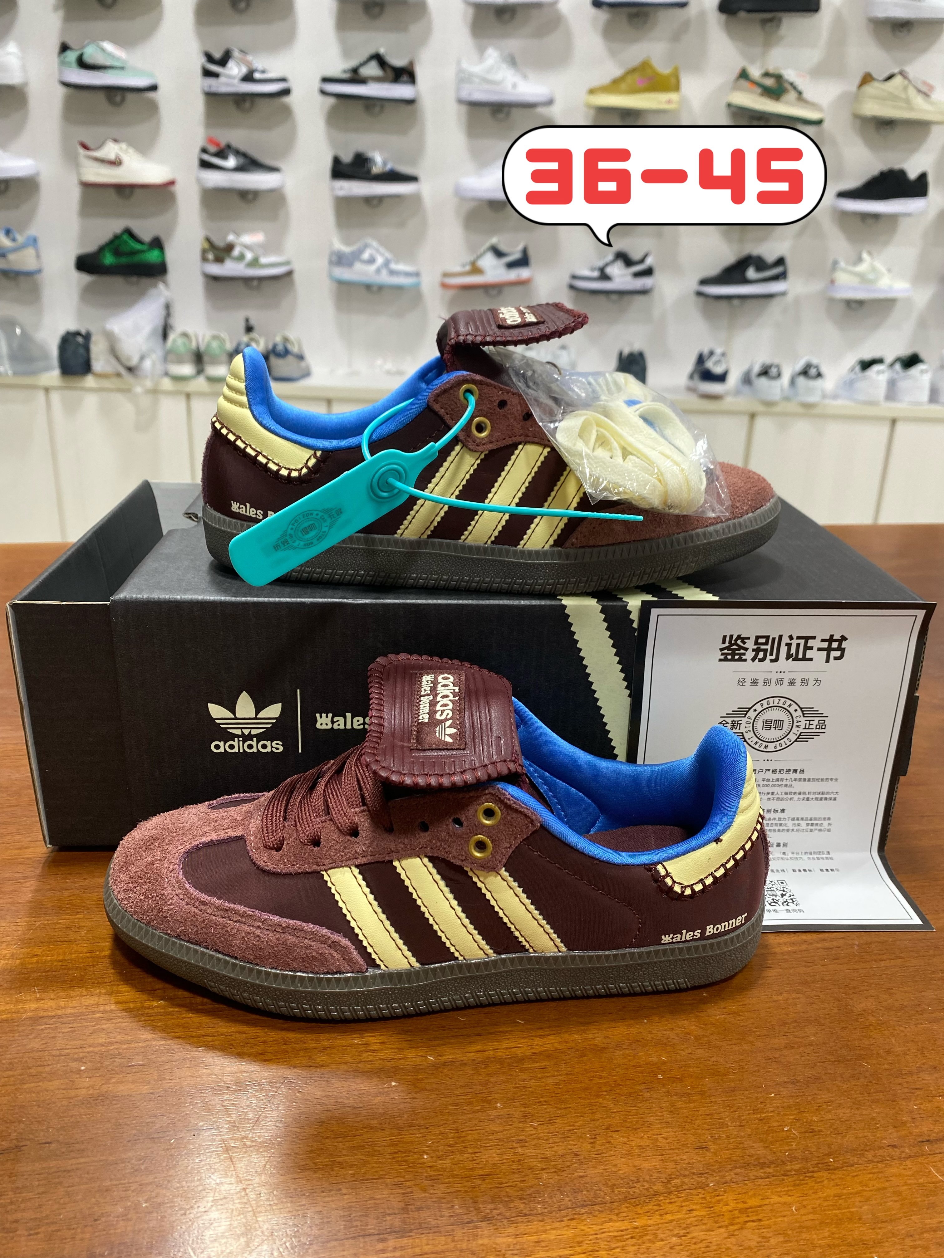 Samba 德训系列 (和）