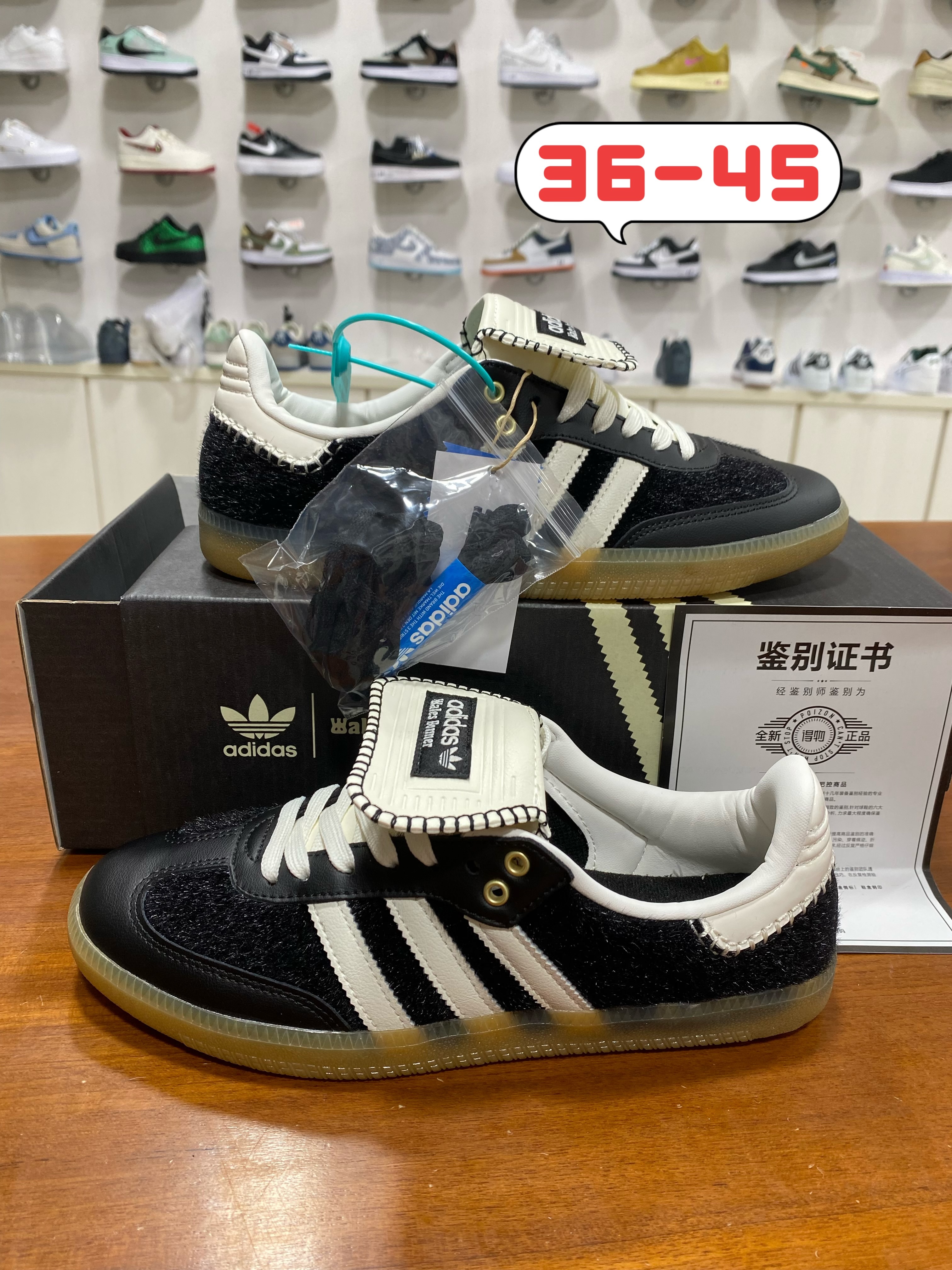 Samba 德训系列 (和）